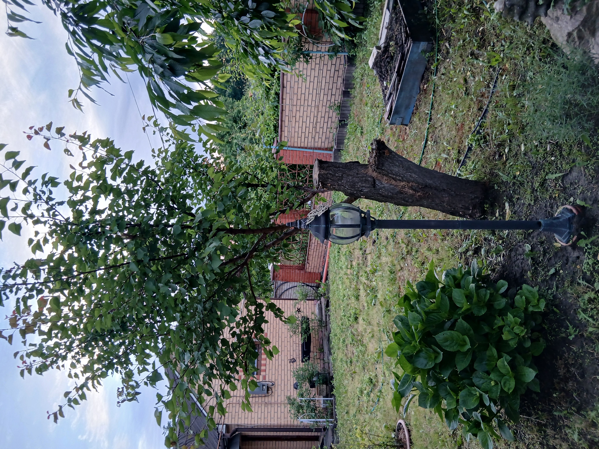The image shows a residential backyard in Vita-Poshtova, Ukraine, on a cloudy day. A brick house with a tiled roof is visible on the left side of the frame. In the center of the yard, a large tree with green foliage stands prominently, next to a cut tree stump. A black garden lamp is positioned in front of the stump. To the left of the tree, a lush green hydrangea bush is in the foreground. A low brick wall with a decorative metal fence runs along the back of the yard, separating it from neighboring properties which are also visible. A raised garden bed with soil and some plant remnants is situated on the right side of the yard. The ground is covered with grass and scattered weeds. The overall scene depicts a somewhat unkempt but lived-in backyard.
