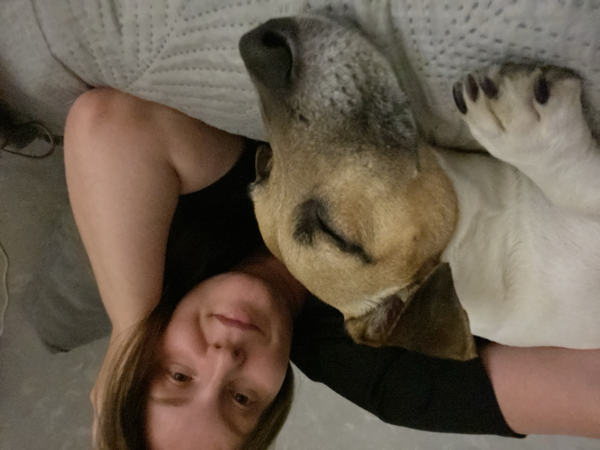 The image shows a close-up of a woman and a dog lying down together. The woman is on the right side of the frame, leaning her head on her hand and looking towards the camera with a slight smile. She has light-colored hair and is wearing a black t-shirt. The dog is on the left side of the frame, with its eyes closed and its head resting on a textured surface, likely a bed or sofa. The dog is white with brown and black markings on its head and ears. Its paws are visible in the foreground, showing dark nails. The background is soft and appears to be a domestic setting. The image does not contain any information that would allow for its location to be identified in the city of Noviy, Russia.