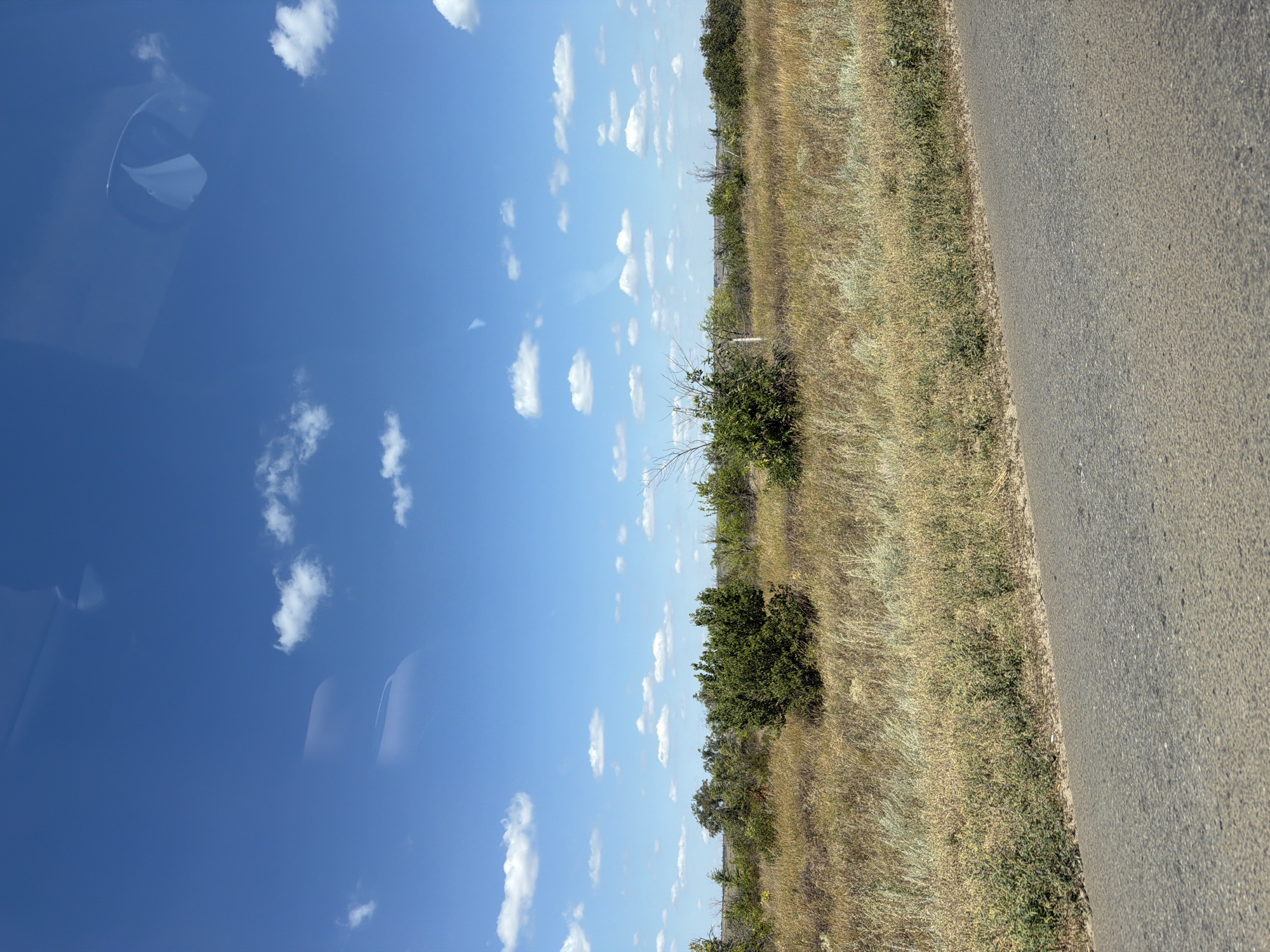 A wide shot captures a sunny daytime view of a rural landscape near Ternovka, Russia. The scene is dominated by a vast, clear blue sky dotted with scattered white clouds. Below the sky, a band of dry, golden-brown grass stretches across the mid-ground, interspersed with several green bushes and trees. A rough, gray asphalt road occupies the foreground, running horizontally across the bottom of the frame. The overall impression is one of open space and natural scenery under a bright sky.