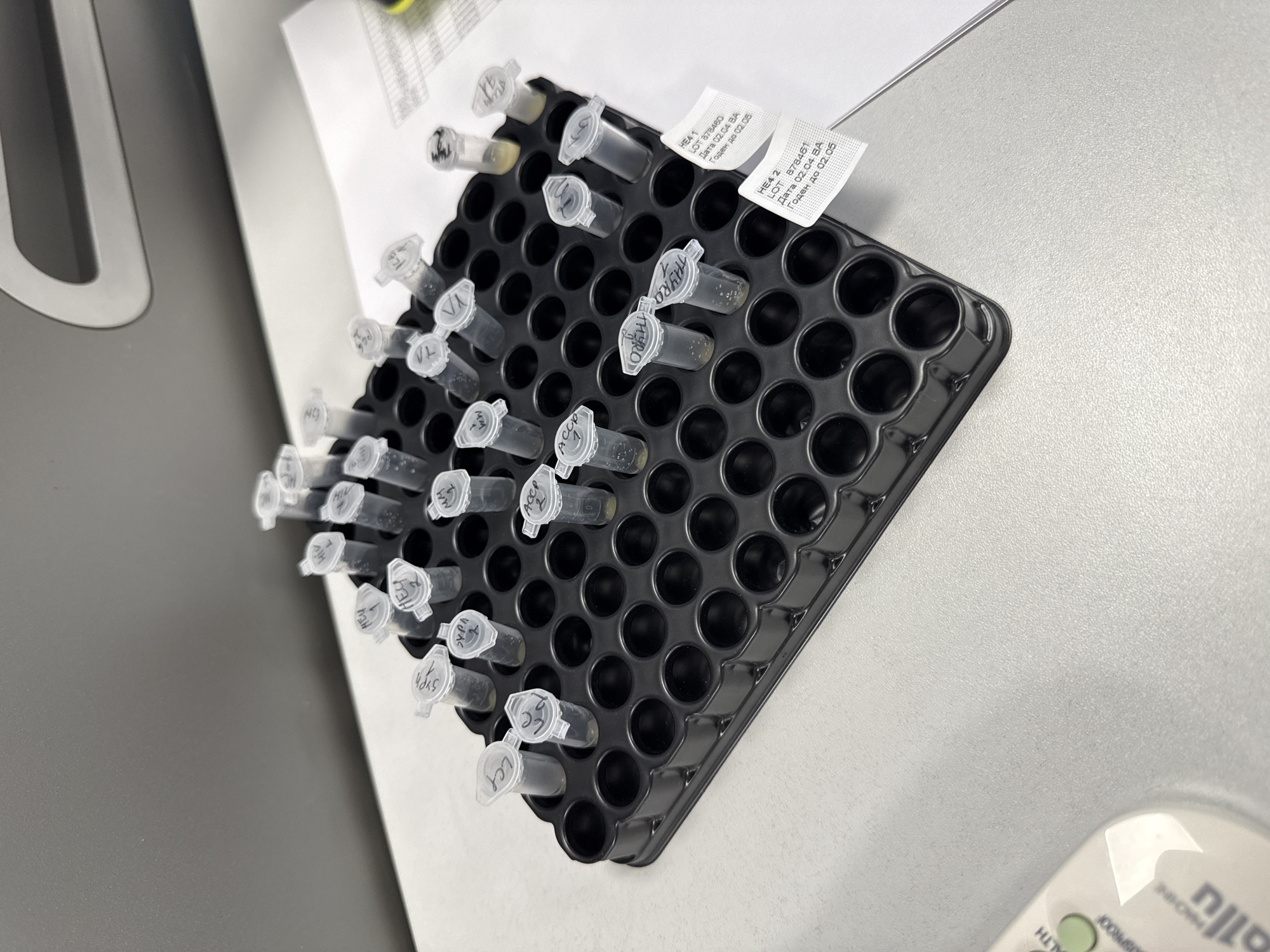 The image shows a black plastic rack containing several small, clear plastic tubes. The tubes are partially filled with a yellowish liquid. The tubes are labeled with handwritten codes, and there are also two small white labels with printed text, including "HE4 1", "LOT 878460", "Дата 02.04 ВА", and "Годен до 02.05". The rack is sitting on a light-colored surface, possibly a countertop. A portion of a gray machine is visible to the left, and part of another device with the word "ALTH" is visible in the lower right. The image appears to be taken in a laboratory setting. There is no information suggesting that the location is Moscow, Russia.