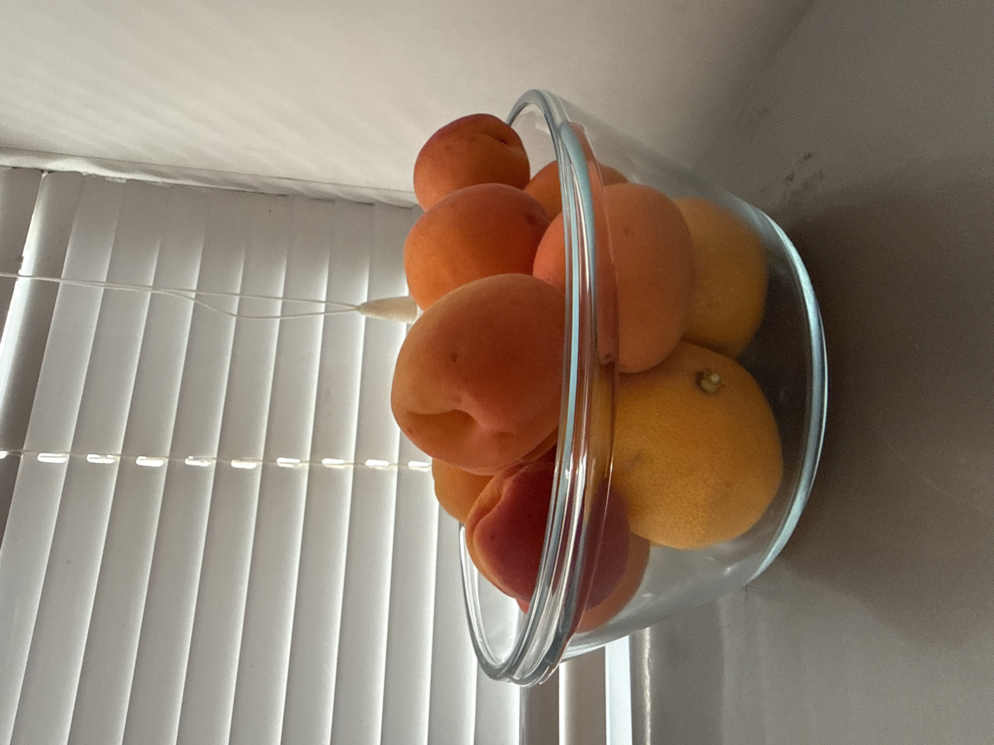 A close-up, eye-level shot shows a clear glass bowl filled with apricots and oranges. The bowl is positioned on a gray, speckled countertop, partially obscuring the bottom of the fruit. Behind the bowl, white horizontal blinds are visible, with light filtering through the slats, creating a striped pattern. A white cord hangs from the top of the blinds, disappearing behind the fruit. The right side of the frame shows a plain, light-colored wall meeting the blinds at a corner. There are no people or animals present, and no visible signs of activity. The overall setting suggests an indoor, domestic environment. The location in Vologda, Russia cannot be determined from the visual information provided.