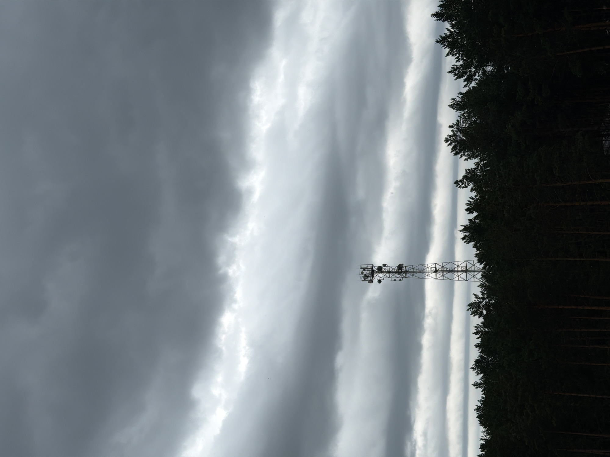 This is a photograph taken in Tsiolkovsky, Russia, featuring a silhouette of a forest against a cloudy sky. In the center of the frame, a tall, metallic telecommunications tower stands prominently above the dark treeline. The sky is filled with heavy, gray clouds, creating a dramatic and somewhat ominous atmosphere. The forest itself is a dense collection of dark green pine trees. The image is a landscape composition, with the horizon line falling roughly in the lower third of the frame, emphasizing the vastness of the sky. There are no people or animals visible in the image.