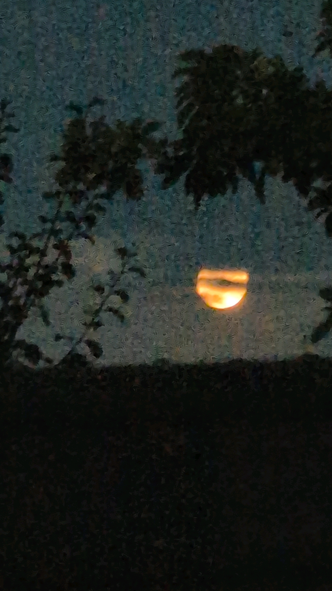 A semi-circular, glowing orange orb, possibly the moon or sun partially obscured, is visible in the upper center of the frame. The orb is framed by the silhouettes of tree branches and leaves against a dusky, teal-colored sky. The foreground is dominated by a dark, indistinct mass that could be a hedge or low-lying foliage, and further dark shapes of trees are present in the mid-ground. The image appears to have a grainy or textured quality, possibly due to low light conditions or intentional artistic filtering. No people or specific landmarks of Izmail, Ukraine, are discernible.