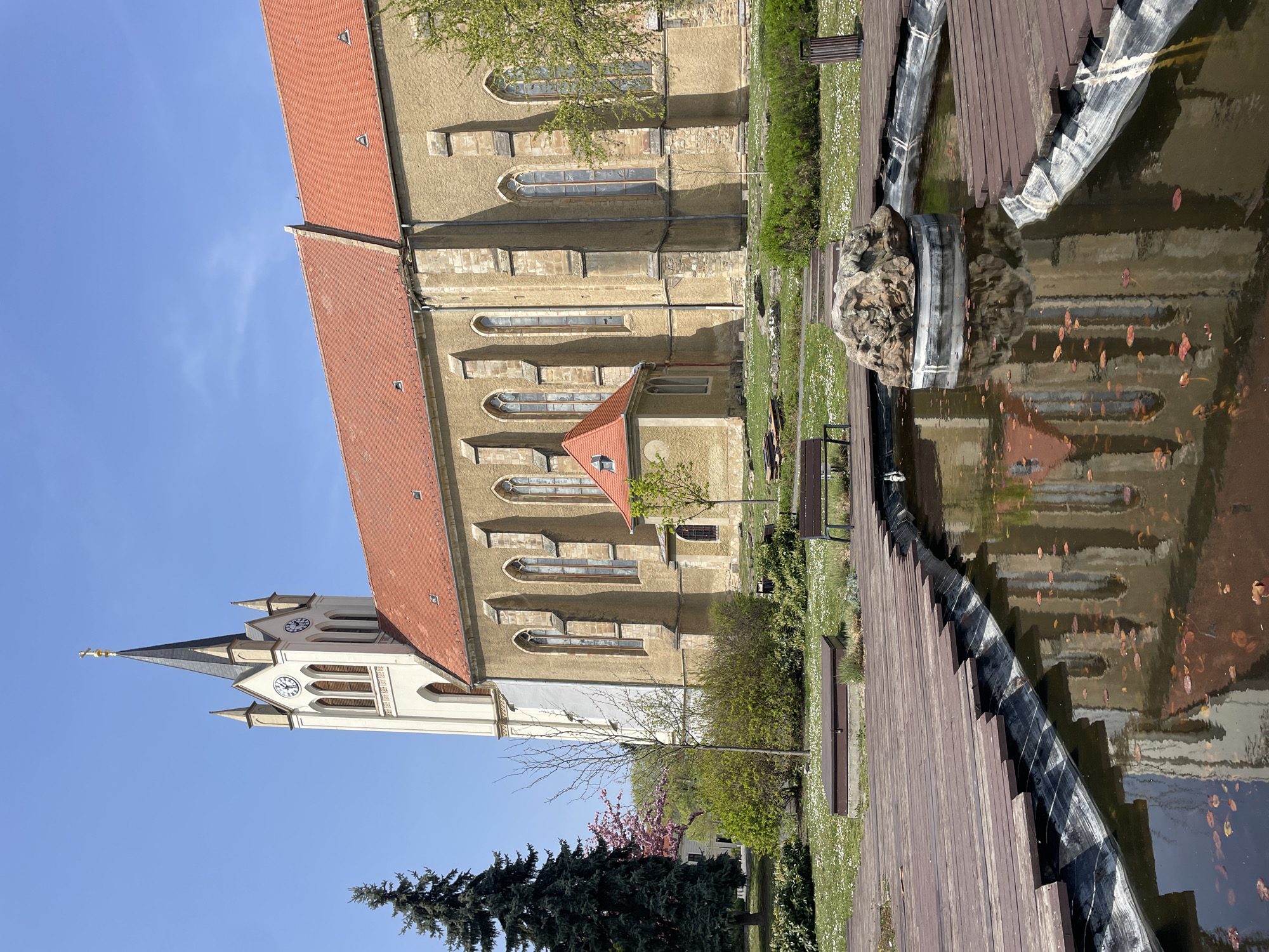 The image shows a church with a clock tower, presumably in Keszthely, Hungary, with the architecture displaying Romanesque and Gothic features. The tower is white with a pointed steeple, and there are two clocks visible. The main body of the church has a red tile roof and tan walls. Adjacent to the church is a fountain or pond surrounded by a wooden deck. A large stone or rock formation sits in the water, and the church's reflection is visible. The foreground includes green lawns with benches, scattered with white flowers, and a variety of trees including a dark green evergreen and a flowering tree with pink blossoms. The sky is a clear blue.