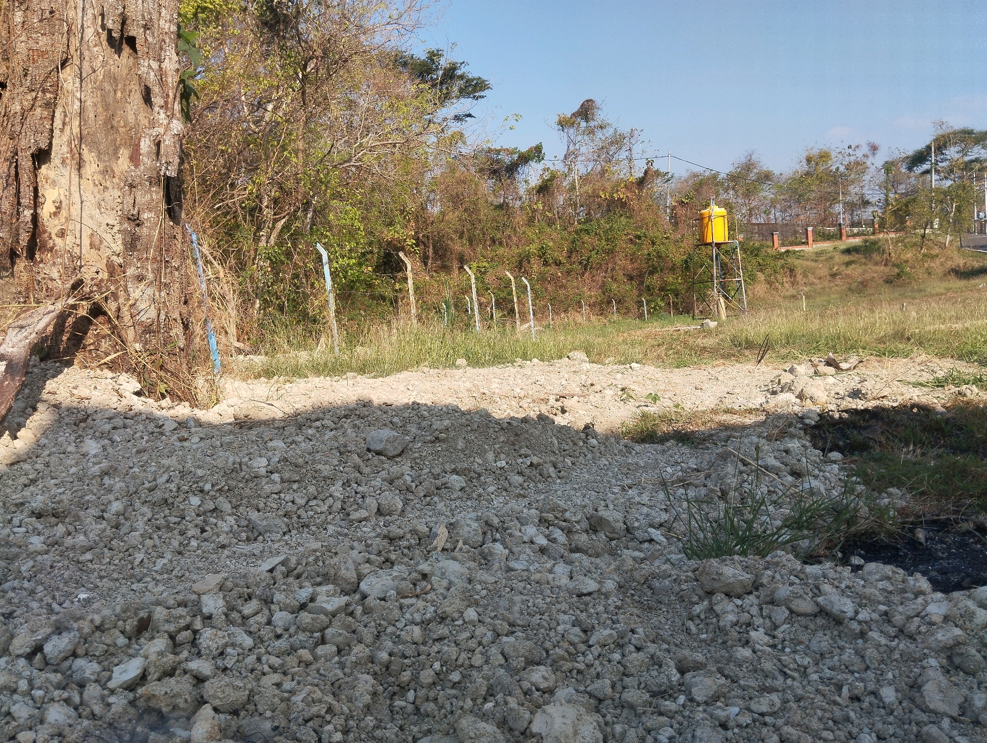 The image captures an outdoor scene in Kedungsumber, Indonesia, featuring a dry, partially cleared lot with a prominent, weathered tree trunk on the left. A pile of light-colored rubble, likely construction debris or excavated soil, dominates the foreground. Beyond the rubble, a dry grassy area stretches back towards a low fence made of metal posts and wire. In the middle ground, a yellow water tank is elevated on a metal structure, suggesting infrastructure in the vicinity. The background is filled with a dense mix of trees and bushes, some appearing dry and autumnal, under a clear blue sky. The overall impression is of a rural or semi-developed area undergoing some form of clearing or construction.