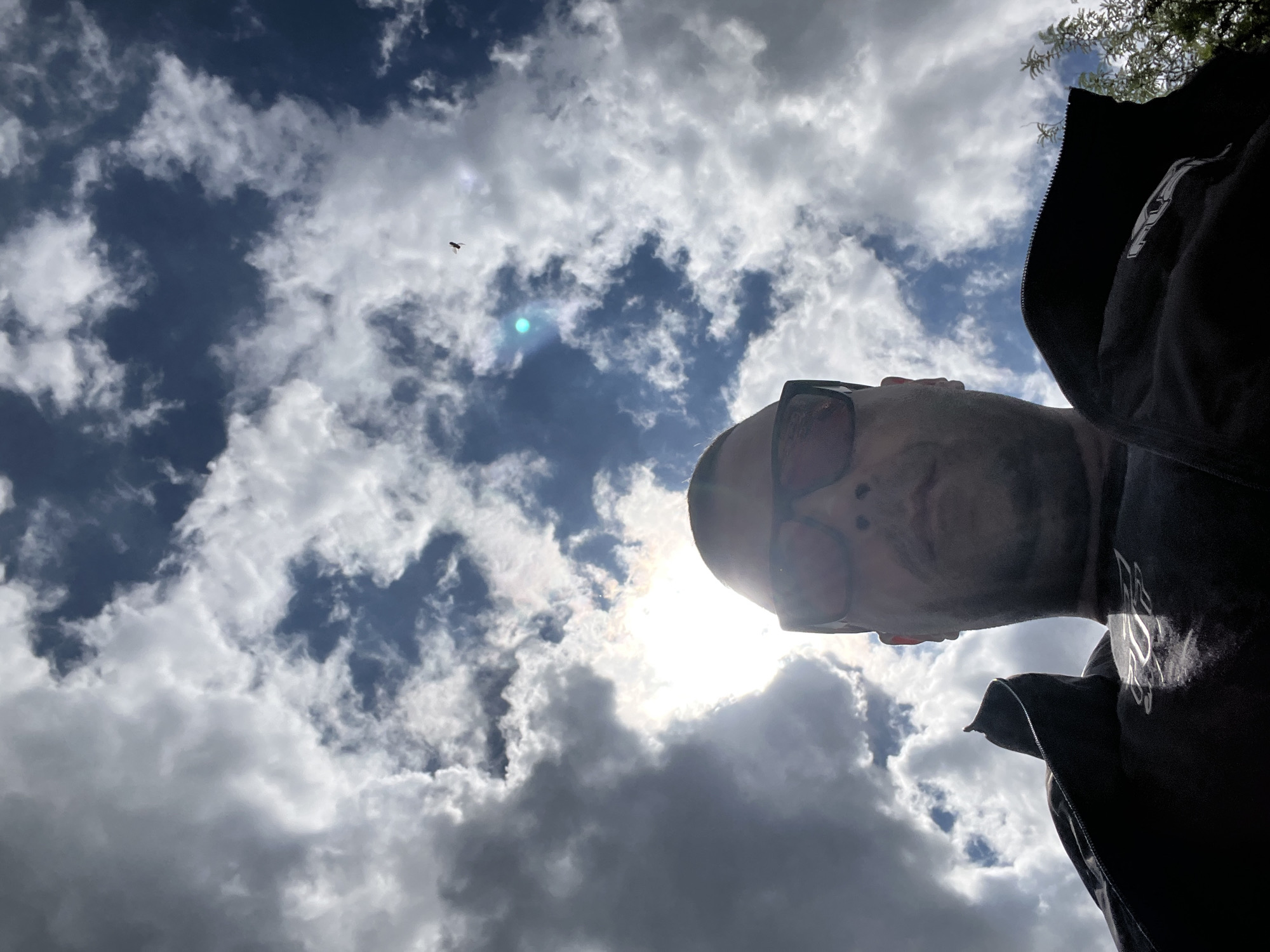 A low-angle upward shot features a person wearing sunglasses and a dark jacket, partially obscuring the sun. The sky is visible with white, puffy clouds against a blue background. A small bird is visible in the upper left quadrant of the image. No context is provided about Varna, Bulgaria.