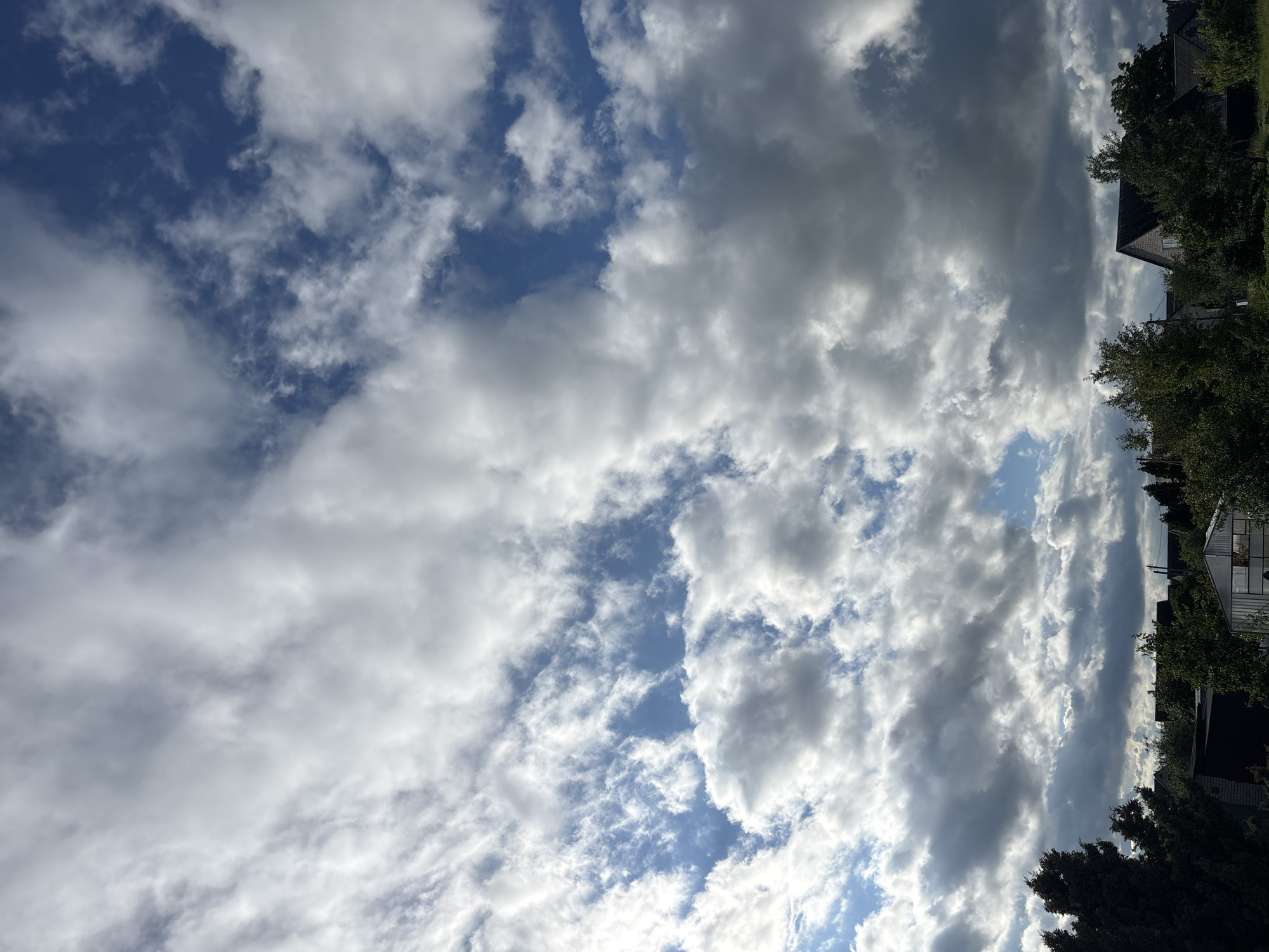 The image is a photograph of a cloudy sky over a rural landscape. The sky is filled with a mix of white and gray clouds, with patches of blue sky visible. The clouds are dense and appear to be moving, creating a dynamic and somewhat dramatic effect. Below the clouds, there are trees, houses, and what appears to be a greenhouse. The overall impression is one of a partly cloudy day in a rural area.
