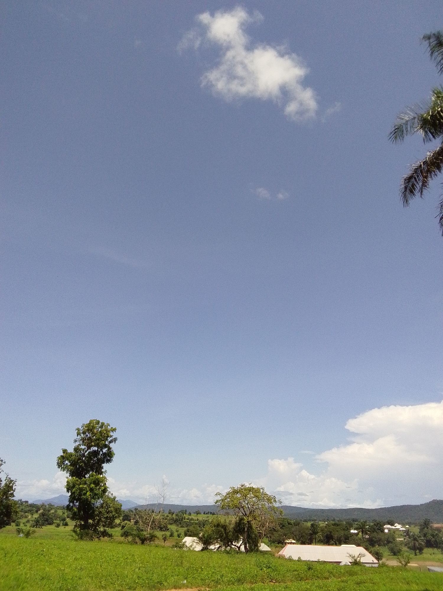 The image depicts a rural landscape with a clear blue sky, dotted with a few white clouds. In the foreground, a lush green field stretches across the scene. A tall, leafy tree stands prominently in the middle left of the frame, with other trees and vegetation scattered throughout the landscape. In the middle ground, several buildings with white and light-colored roofs are visible, suggesting a small settlement. In the background, rolling hills and mountains are visible under the expansive sky. A portion of a palm tree is visible in the upper right corner of the image. The overall scene conveys a serene and natural environment, likely a rural area in Serti, Nigeria.