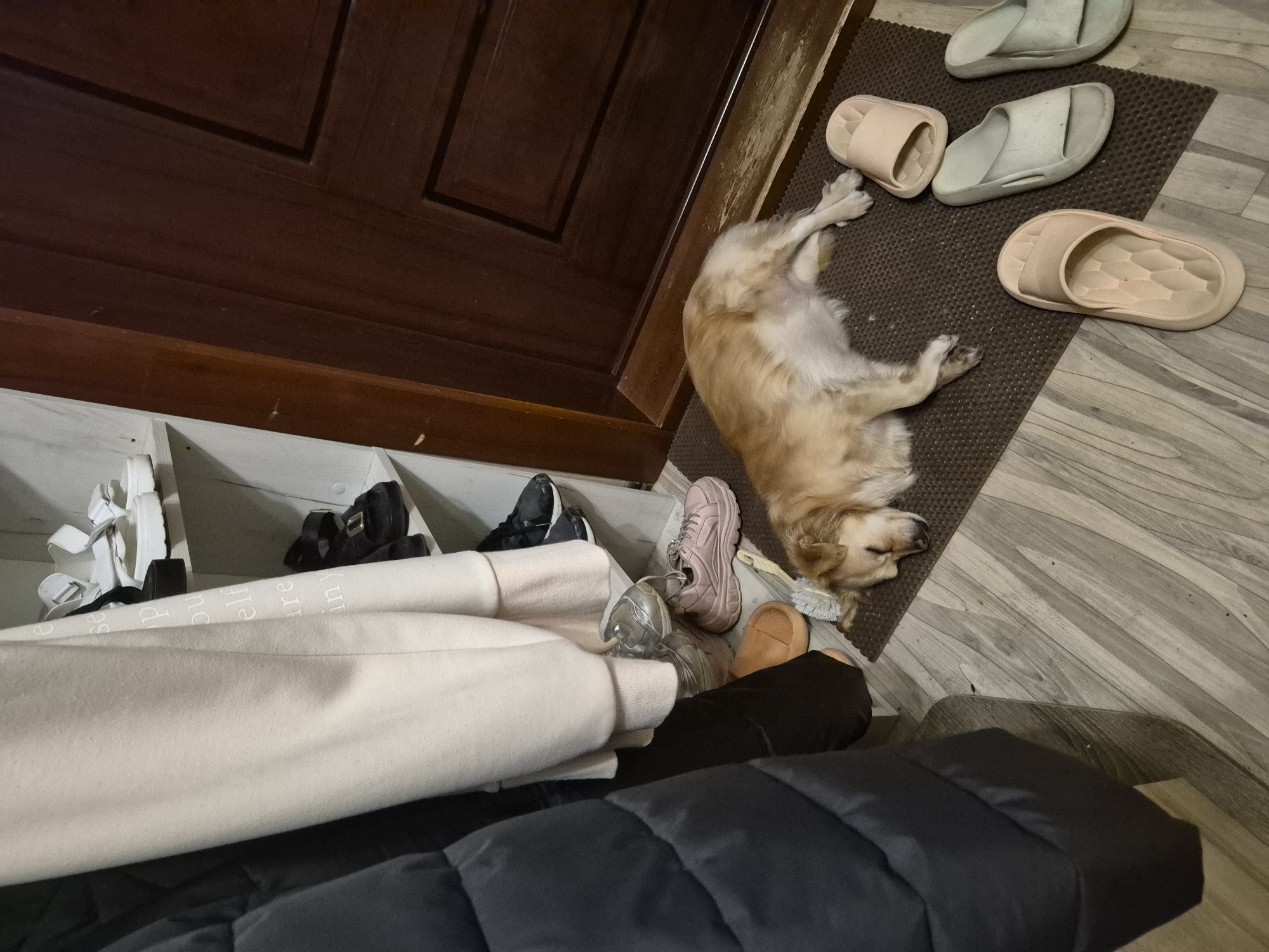 A golden retriever is sleeping on a doormat in what appears to be an entryway. There are several pairs of slippers and shoes neatly arranged on shelves to the left, and on the floor to the right. A dark brown wooden door is visible in the background. The lighting suggests it could be daytime. The dog appears relaxed and comfortable. The floor is made of light-colored laminate wood. The scene suggests a domestic setting.