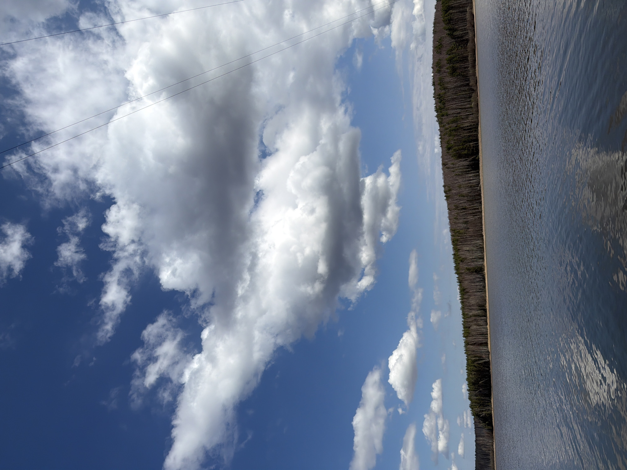 The image shows a view of the Kama River in Chaykovsky, Russia. The scene depicts a landscape with a body of water (the Kama River) occupying the right half of the frame. Its surface appears to be rippled by a light breeze. A line of dense forest extends along the opposite bank. The left half of the image features a bright blue sky filled with fluffy white clouds. Power lines are visible diagonally across the upper left portion of the sky. No people are directly visible.