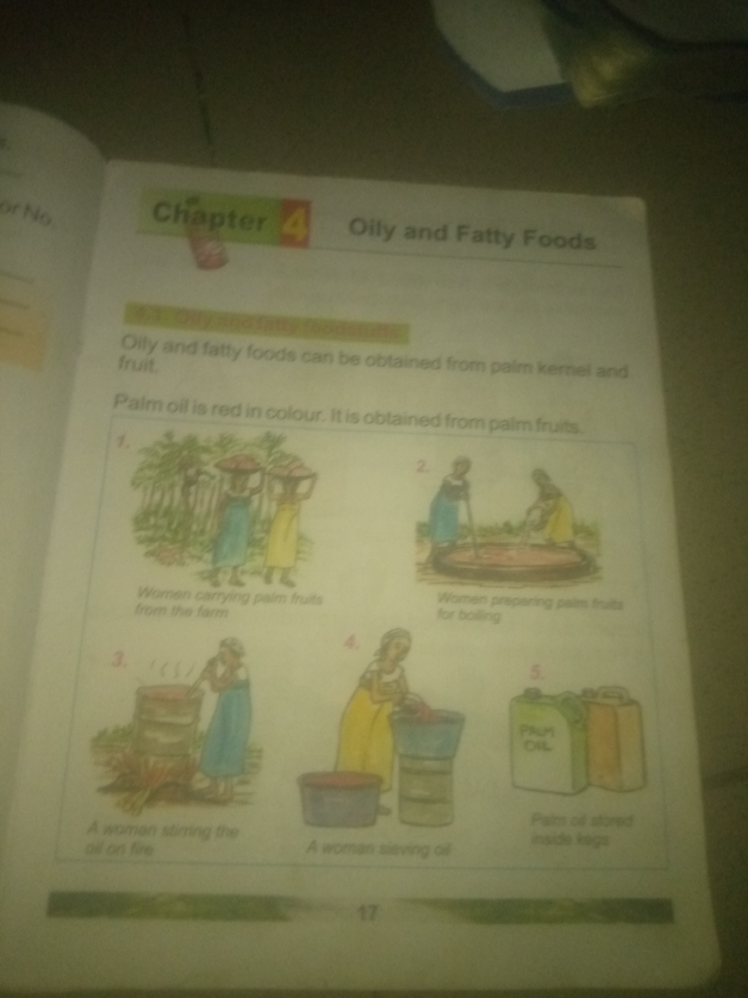 The image is a page from a textbook, likely for children, discussing "Oily and Fatty Foods". The page is divided into sections, each featuring an illustration and a caption.
At the top, the title is "CHAPTER 4 Oily and Fatty Foods". Below this, a text explains that oily and fatty foods are obtained from palm kernel and fruit, and that palm oil is red in color and obtained from palm fruits.
The majority of the page is taken up by five numbered illustrations depicting the process of obtaining palm oil.
1. **Illustration 1:** Shows two women carrying baskets of palm fruits on their heads, walking through trees. The caption reads: "Women carrying palm fruits from the farm".
2. **Illustration 2:** Depicts two women tending to a large pot or vat filled with palm fruits. One woman is stirring the contents with a long stick. The caption states: "Women preparing palm fruits for boiling".
3. **Illustration 3:** Features a woman stirring a pot or barrel that is over a fire, with steam rising. The caption is: "A woman stirring the oil on fire".
4. **Illustration 4:** Shows a woman sieving oil. There is a basin with oil and a sieve above it. The caption reads: "A woman sieving oil".
5. **Illustration 5:** Displays two containers, one green and one orange, labeled "PALM OIL". The caption underneath reads: "Palm oil stored inside kegs".
The page also has page numbers at the bottom, with "17" visible. The overall image quality is poor, with the lighting and focus making some details difficult to discern. There are no discernible elements that would place the scene specifically in Jauro Yinu, Nigeria, as the illustrations are generic depictions of a process.