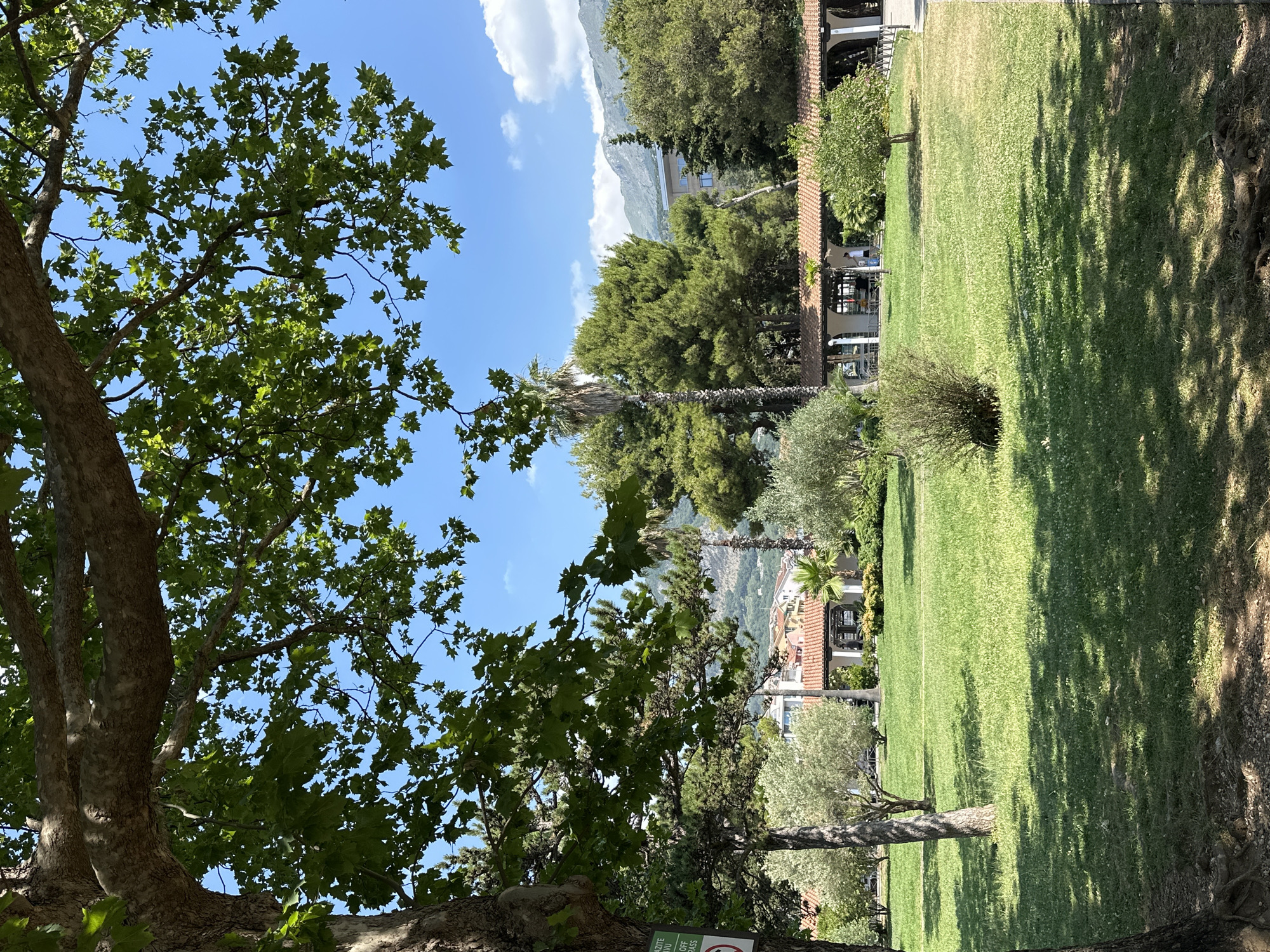 This image depicts a sun-drenched park area in Bečići, Montenegro. The foreground is dominated by the dappled shade of a large tree, with its textured bark and gnarled roots visible. Beyond the tree, a meticulously manicured lawn stretches towards a row of buildings featuring terracotta tiled roofs and arched walkways. Lush green foliage, including olive trees and palm trees, dots the landscape, interspersed with mature pine trees that rise towards the clear blue sky. In the background, mountains can be seen with some buildings nestled at their base. The scene suggests a tranquil and inviting outdoor space, possibly a resort or a public garden, with a couple of individuals walking under the covered walkways. A sign with some text and a prohibition symbol is partially visible on the tree trunk in the left foreground.