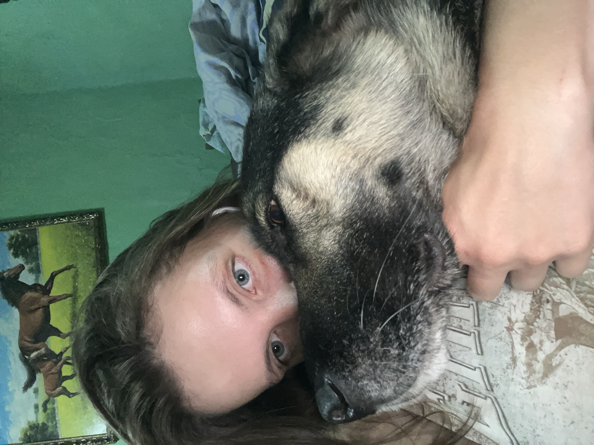 The image shows a close-up view of a person's face and a dog's face pressed together, suggesting an intimate moment. The person has light-colored eyes and brown hair. The dog has dark and light fur, with visible whiskers. The background includes a green wall and a framed painting of horses. A blue blanket is visible to the right. The scene appears to be indoors, possibly in a bedroom. The person's hand is visible, resting on the dog. There are no visible indicators of the specific location in Nizhny Tagil, Russia.