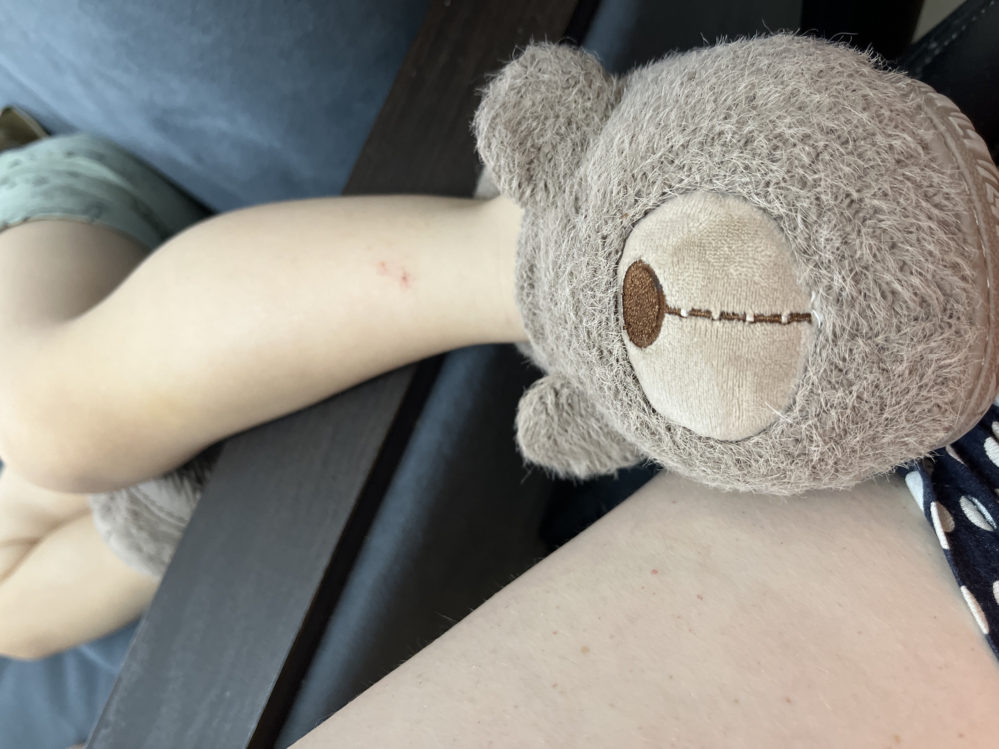 A close-up indoor shot features a fair-skinned person holding a gray stuffed bear. The person's arm, marked with a small red abrasion, rests against a dark-stained wooden chair. The bear's face is visible, with a light tan muzzle, a dark brown eye, and a stitched mouth. The person is also wearing dark blue clothing with white polka dots. The background includes a blue upholstered surface. The image does not provide sufficient details to determine the location is Chaikovsky, Russia.