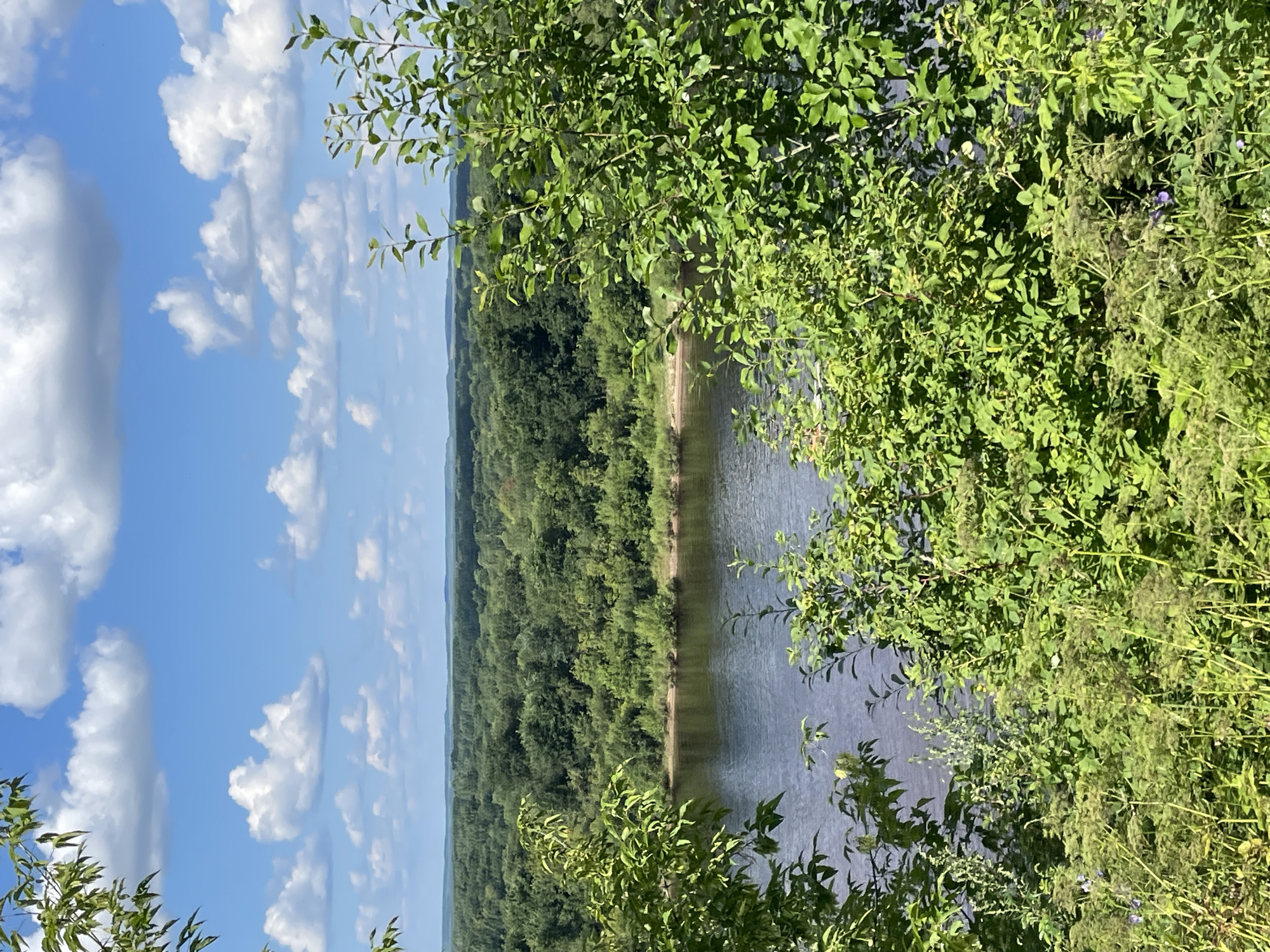 A scenic view of a wide river with a tree-lined bank under a blue sky with white clouds is captured from a high vantage point. Lush green foliage frames the foreground, suggesting an elevated position overlooking the natural landscape. The water is a deep, calm blue, reflecting the sky above. The opposite bank is densely covered with a variety of trees, creating a verdant wall that stretches towards the horizon. In the distance, rolling hills are visible, softened by the atmospheric haze. The overall impression is one of tranquility and natural beauty. This landscape could be located along the Cheptsa River in Kirovo-Chepetsk, Russia, a city known for its natural surroundings.