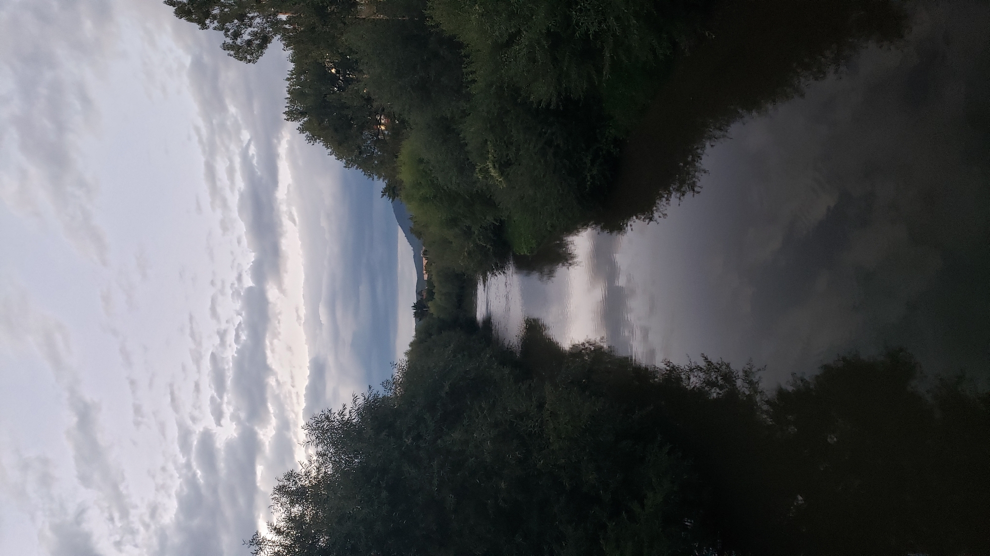 The image depicts a view down a river surrounded by dense green foliage on both banks. The sky above is overcast with a mix of light and dark clouds. The river's surface reflects the sky and the surrounding trees, creating a muted, serene atmosphere. In the distance, faint buildings and a hillside are visible. The scene is captured from an elevated perspective, likely a bridge or embankment, looking upstream. The location is identified as the Torysa River in Prešov, Slovakia. There are no people or animals visible in the frame.