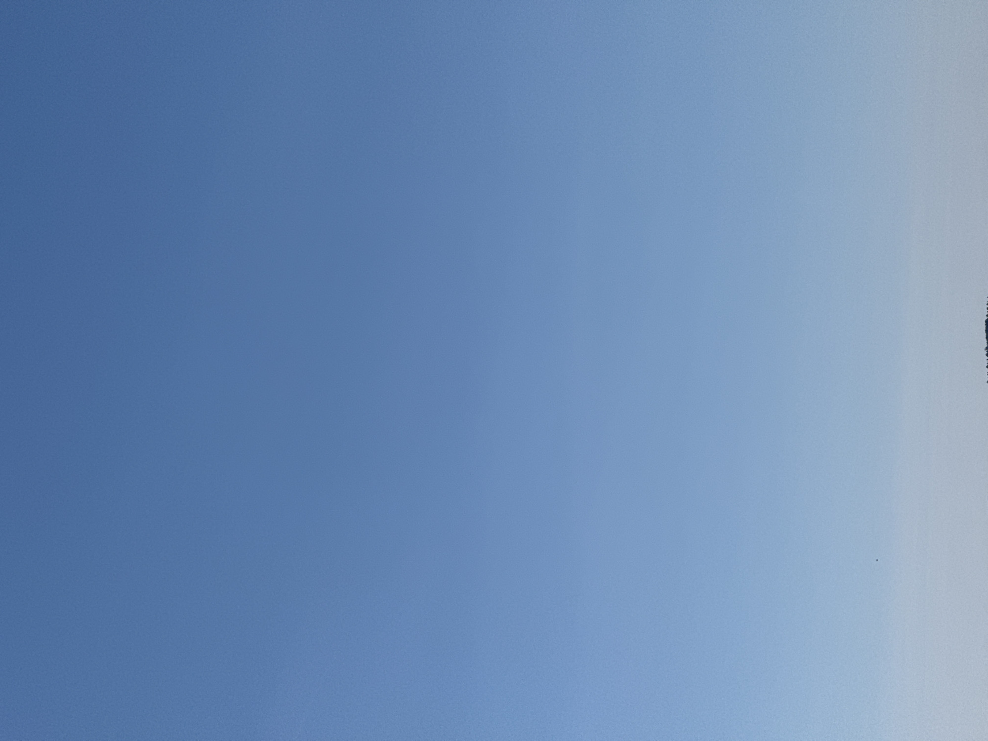 The image shows a clear blue sky. A faint outline of trees or a building is visible on the right edge of the frame. A small dark speck, possibly a bird, is also present in the sky on the right side of the image. Without additional context, I cannot determine the exact location in Votkinsk, Russia.