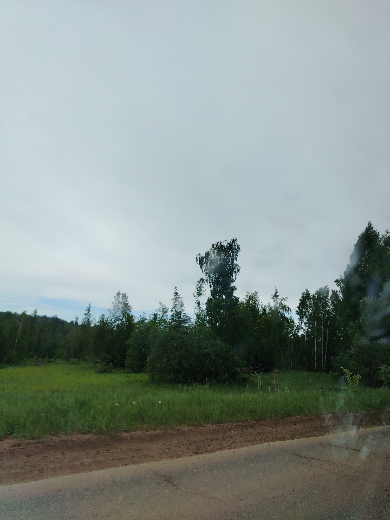 The image shows a roadside view in Краснояр, Russia. The foreground is a gray asphalt road with a dirt shoulder. Beyond the shoulder is a grassy field with dense green vegetation and clusters of trees. In the background, a dark line of forest borders the horizon. The sky is overcast and gray. No people or animals are visible.
