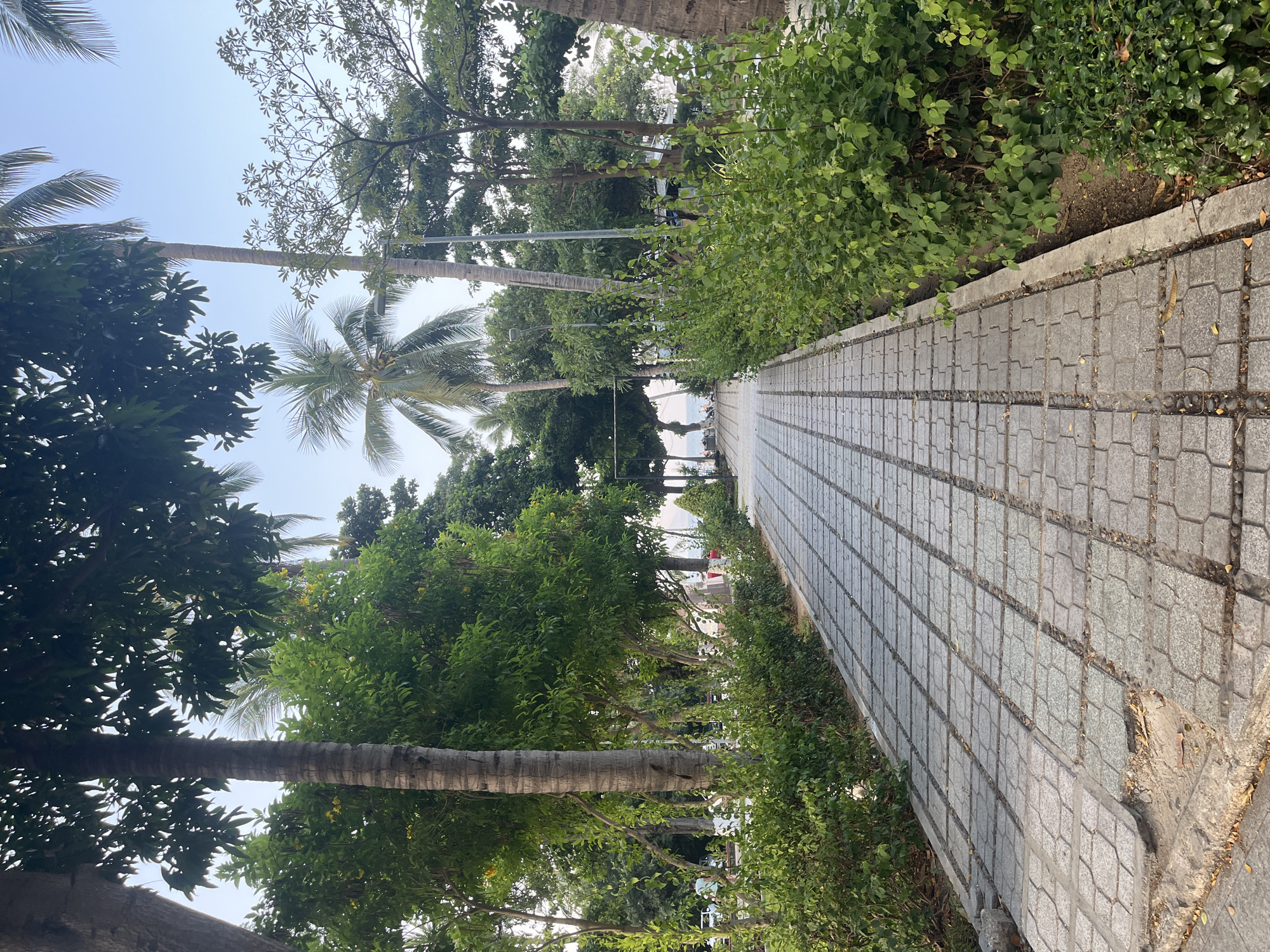 This image depicts a paved pathway lined with lush green bushes and trees, leading towards a distant view of the ocean under a clear sky. The pathway is constructed with rectangular grey stone tiles, some of which show signs of wear and tear with missing pieces and exposed soil. Palm trees and other tropical vegetation flank the pathway, creating a sense of a tropical park or promenade. In the distance, a few people can be seen near the shoreline, suggesting a beach or coastal area. The overall scene evokes a tranquil and natural environment. While the specific location within Nha Trang is not identifiable from the image alone, the presence of palm trees and the coastal view strongly suggest it is a public area along the coast of the city, likely a park, promenade, or beach access path.