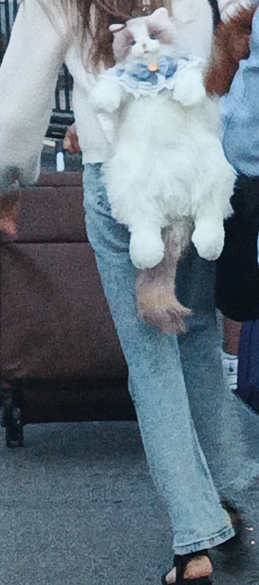The image depicts a person wearing light-colored clothing and blue jeans, holding a stuffed cat. The stuffed cat is white with brown markings on its head and a blue collar with a yellow charm. The person is standing next to a dark brown suitcase. The ground appears to be asphalt or a similar textured surface. The background is blurred, but suggests an outdoor urban setting. The lighting is overcast.