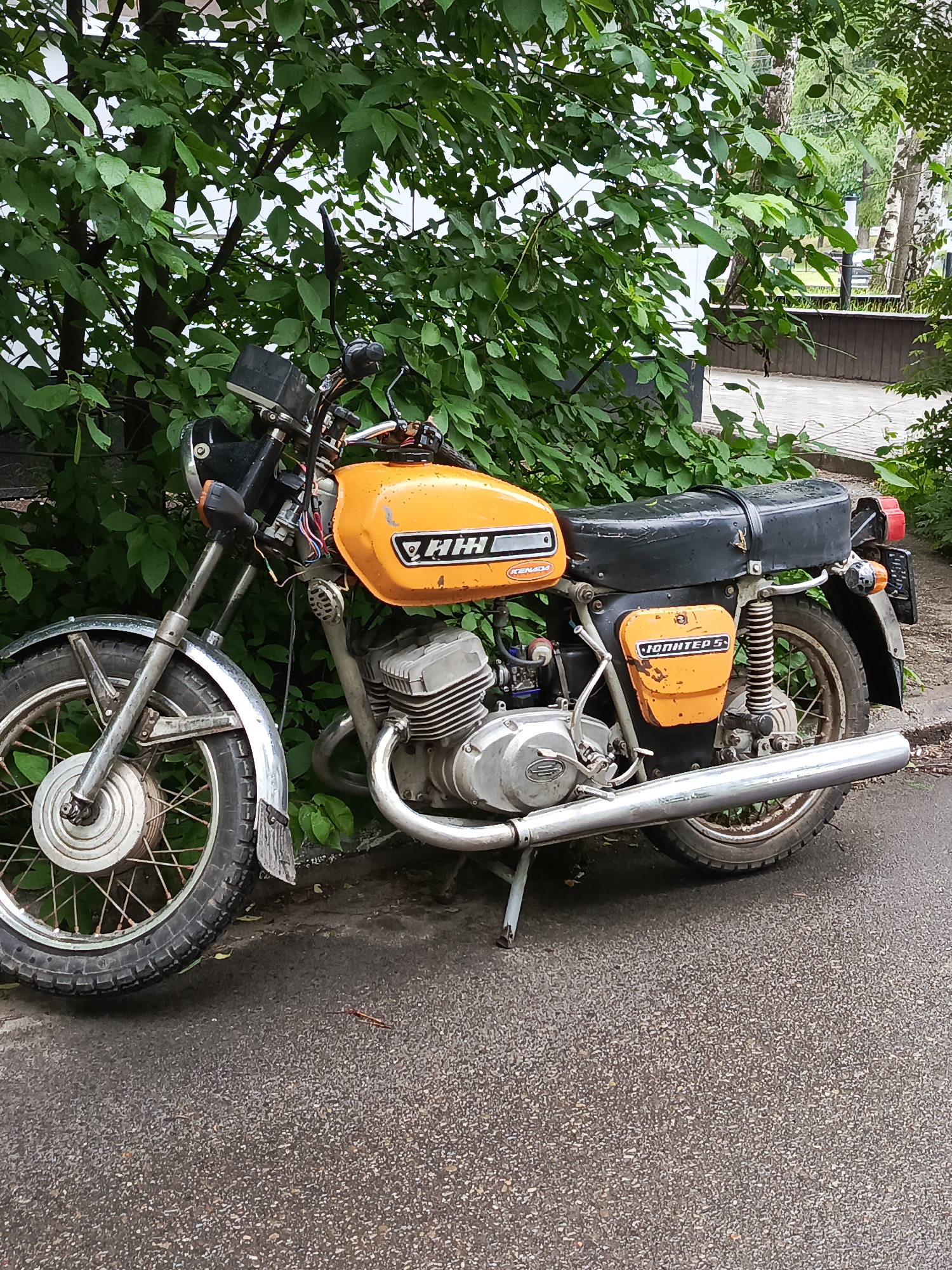 The image captures an orange and black IZh Jupiter 5 motorcycle parked outdoors next to a dense green bush. The motorcycle is the primary subject, presented from a side angle, resting on its kickstand. Its fuel tank and side covers are a vibrant orange, complementing the black seat, engine, and other components. The vehicle exhibits signs of age and use, with visible exposed wiring near the handlebars, scuffs on the paintwork, and some rust on the chrome elements like the wheel spokes and exhaust pipe.
Identifying text is prominent on the motorcycle. The Cyrillic emblem "ИЖ" (IZh), representing the manufacturer, is visible on the fuel tank, along with the word "KENEDA" beneath it. On the orange side cover, the model name "ЮПИТЕР 5" (YUPITER 5), which translates to "Jupiter 5", is clearly displayed. The motorcycle features a large chrome exhaust pipe, spoked wheels, a round headlight, and a classic utilitarian design.
The scene appears to be daytime, possibly following recent rain, as the asphalt surface, the motorcycle's seat, and other parts exhibit a damp sheen. Lush green foliage from the bush provides a natural backdrop. Beyond the immediate foreground, a paved path or sidewalk is visible, along with glimpses of distant trees, including light-barked birches, indicating an outdoor, potentially urban or suburban setting. No human activity is depicted; the motorcycle is stationary. The details align with the provided location context of Chaikovsky, Russia.