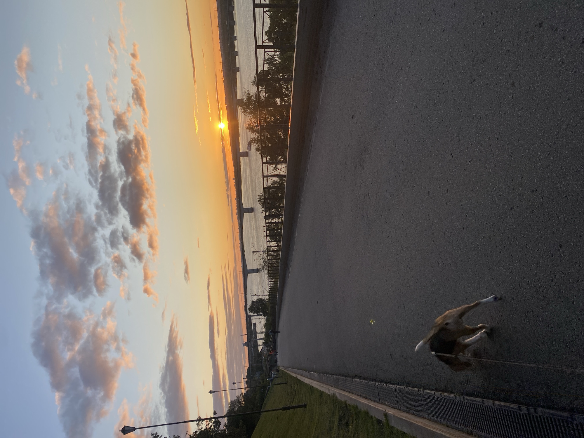 The image shows a sunset over the Kama River in Perm, Russia. The sun is low on the horizon, casting a warm glow over the sky and the water. A bridge spans the river in the distance, and a boat is visible on the water. On the embankment, a paved path runs alongside the river. A dog on a leash is walking on the path, and a few people are visible in the background. Trees and grass line the embankment, and a street lamp stands on the left side of the path. The scene is peaceful and serene, with the warm colors of the sunset creating a beautiful and inviting atmosphere.