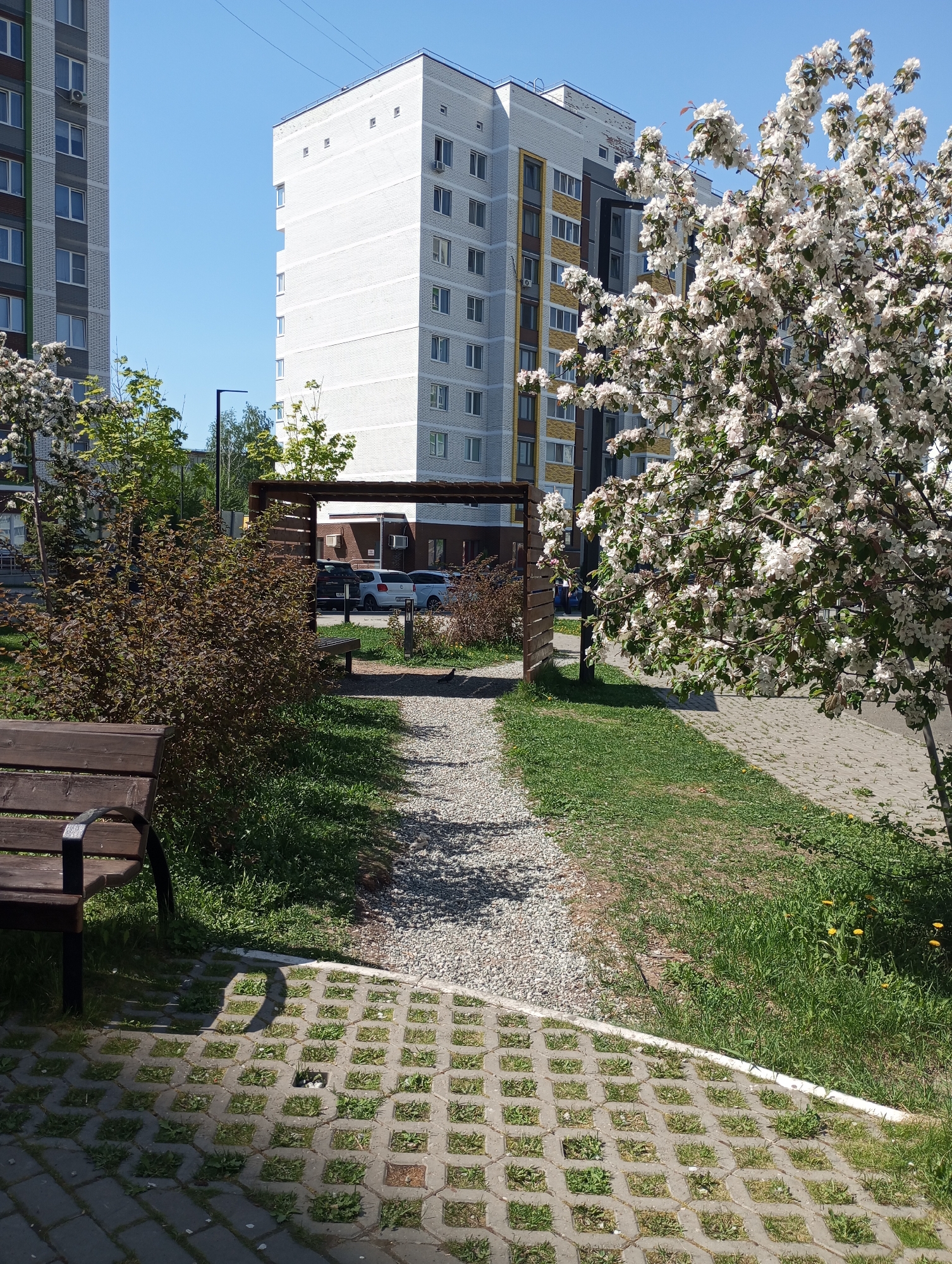 A daytime, medium-angle shot depicts a park pathway in Izhevsk, Russia. The path, surfaced with gravel, leads under a dark-stained wooden pergola. A bench with a black metal frame sits to the left of the path, partially visible.
To the right of the path is a large flowering tree, its white blossoms in full bloom. Behind the pergola, several light-colored cars are parked. The pathway is bordered by green grass and patches of weeds.
In the foreground, paving stones with grass growing between them make up a patio area. Tall apartment buildings are visible in the background. One is white with grey and gold accents and the other is grey with green and gold accents. The sky is clear and blue.