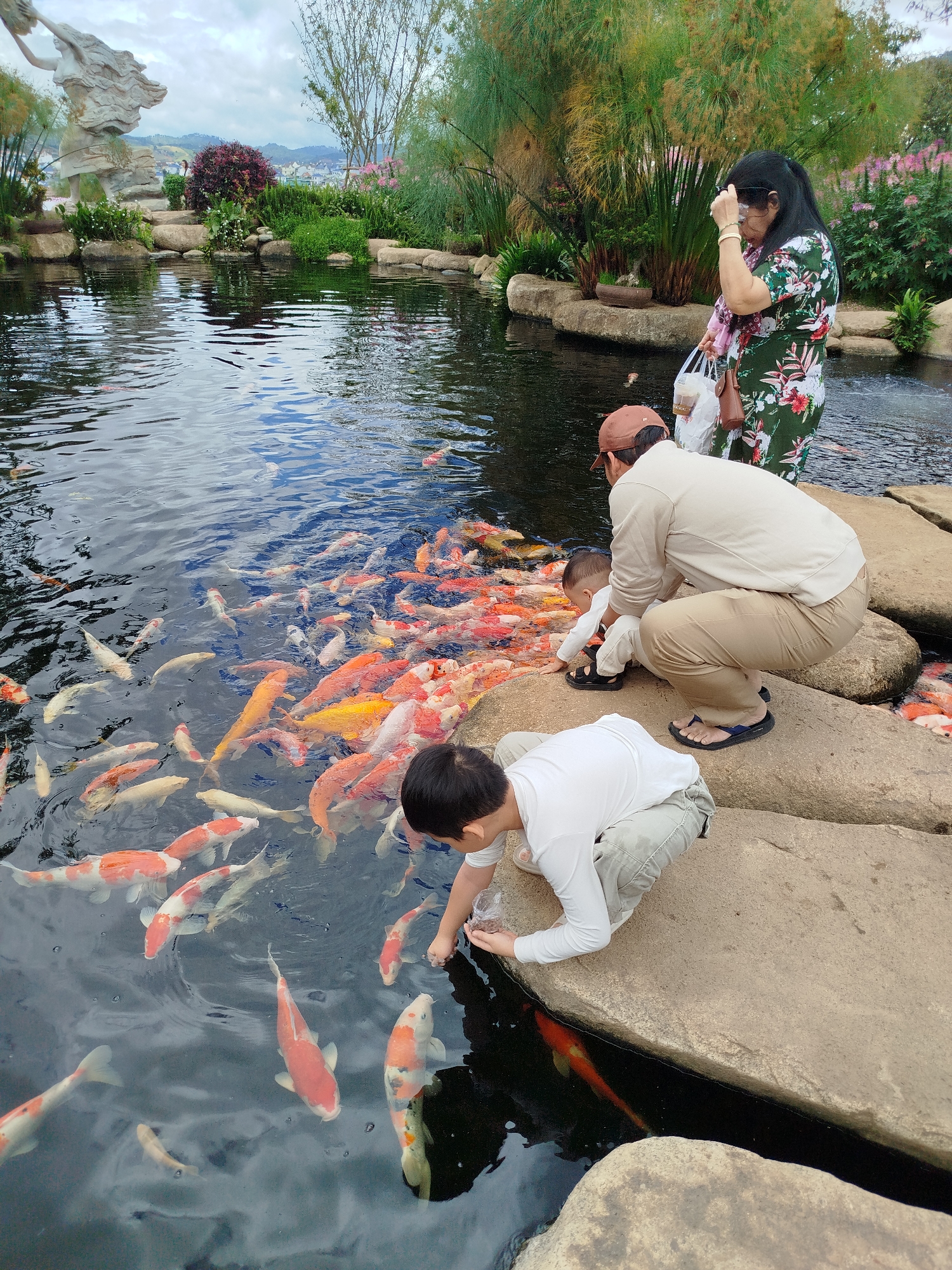 In Lạc Dương, Vietnam, a tranquil pond teems with numerous koi fish, their scales a vibrant tapestry of orange, white, and yellow. Several people are gathered around the pond's edge. A woman in a floral dress stands, holding a white plastic bag, while a man in a beige sweatshirt crouches down, his attention focused on the water. A young child, dressed in white, is also crouched, reaching towards the fish. Another child in a white shirt and light-colored shorts is positioned closer to the foreground, also interacting with the fish in the pond. The pond is bordered by large, flat stones, and lush green vegetation, including tall bamboo-like plants and flowering bushes, lines the background. The sky above is overcast, contributing to the soft lighting of the scene. The overall impression is one of a peaceful, outdoor excursion, likely a tourist attraction.