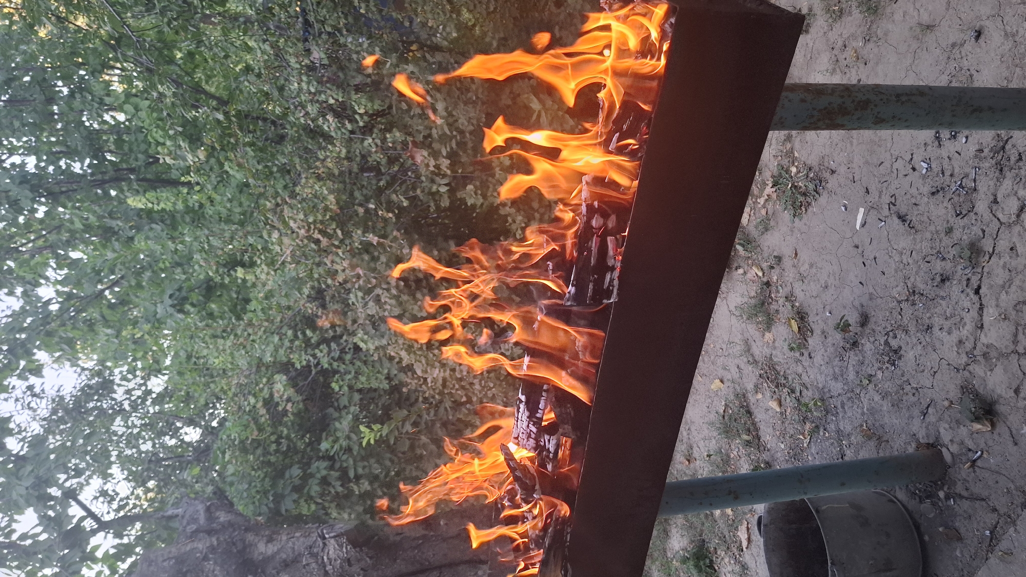 A fire burns brightly in a long, narrow metal brazier supported by two rusty green metal posts. The brazier is filled with logs that are actively burning, producing tall, dancing flames of orange and yellow. The background consists of dense green foliage from trees and bushes, with a hint of a weathered tree trunk on the left side. The ground beneath the brazier is a mix of dry, cracked earth, with scattered leaves and some small green plants. To the left of the brazier, a grey metal bucket is visible. The scene appears to be outdoors, possibly in a backyard or park area, with the lighting suggesting it is either late afternoon or early evening. There are no people or animals present in the image.