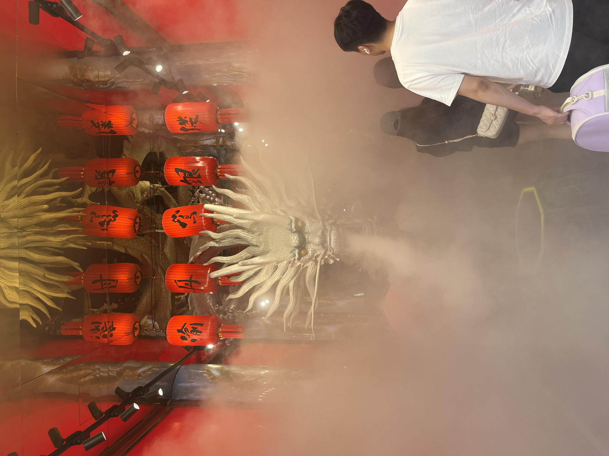 In the Yuzhong District of China, a scene unfolds within a dimly lit interior, possibly a themed attraction or event space. The dominant visual elements are a large, ornate dragon head sculpture, its mouth partially obscured by a thick cloud of artificial fog, and a row of ten red, cylindrical lanterns hanging above. Each lantern is adorned with black Chinese characters. Spotlights are strategically positioned on black tracks, illuminating the dragon and the lanterns. In the foreground, a group of individuals are observed from behind. The person closest to the camera, a male wearing a white t-shirt and black shorts, carries a light purple pet carrier. To his left and slightly in front, a female, also viewed from the back, wears a black jacket and shorts, with a quilted beige crossbody bag slung over her shoulder, and a baseball cap. The overall atmosphere is dramatic and immersive, enhanced by the fog and red lighting.