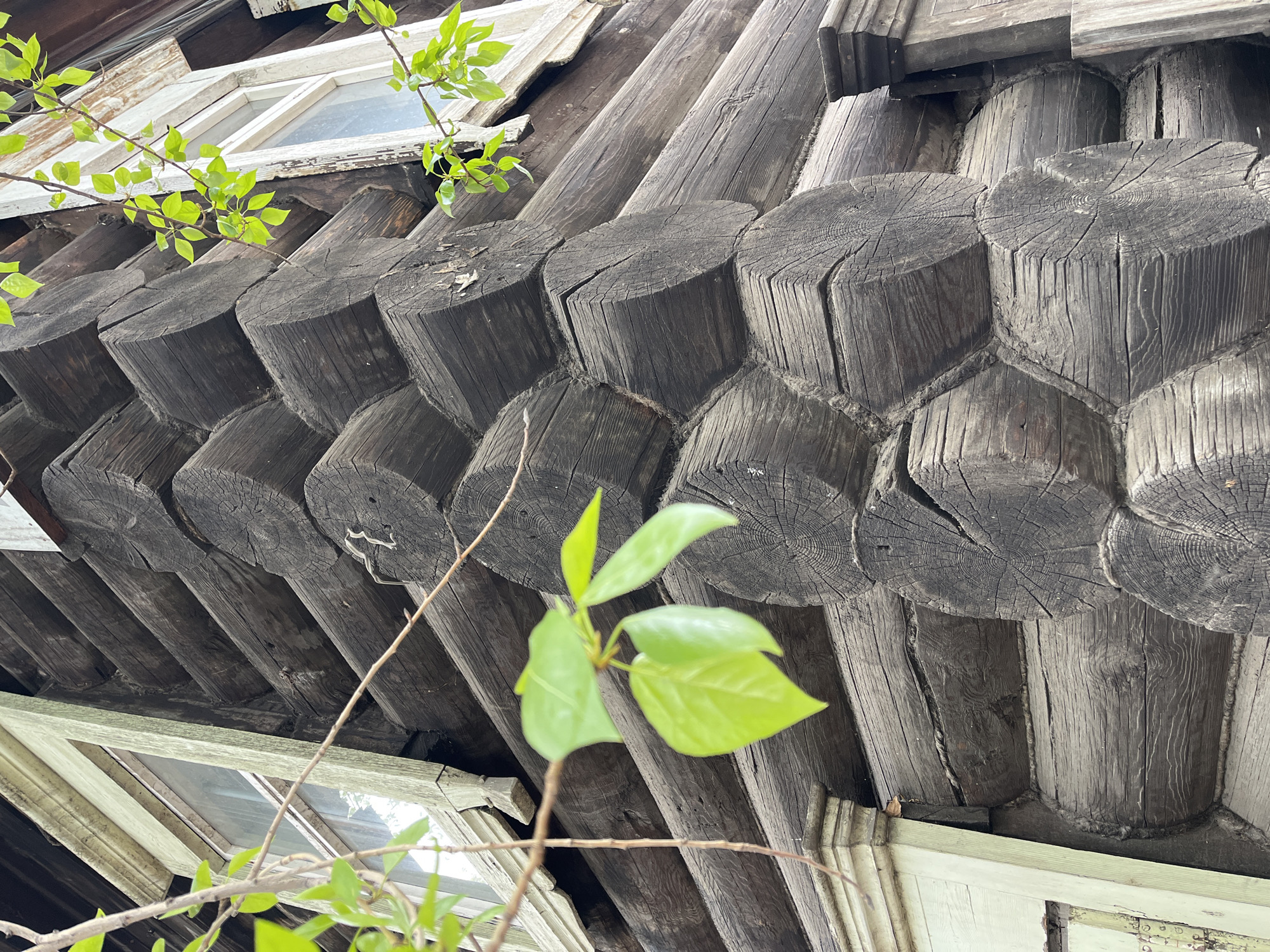 The image shows the exterior of a log cabin in Krasnoyarsk, Russia. The dark brown logs are stacked in a traditional interlocking pattern. The ends of the logs are visible, revealing the wood grain. A window is visible at the top and bottom of the frame. Green leaves from a nearby tree obscure portions of the wooden structure.