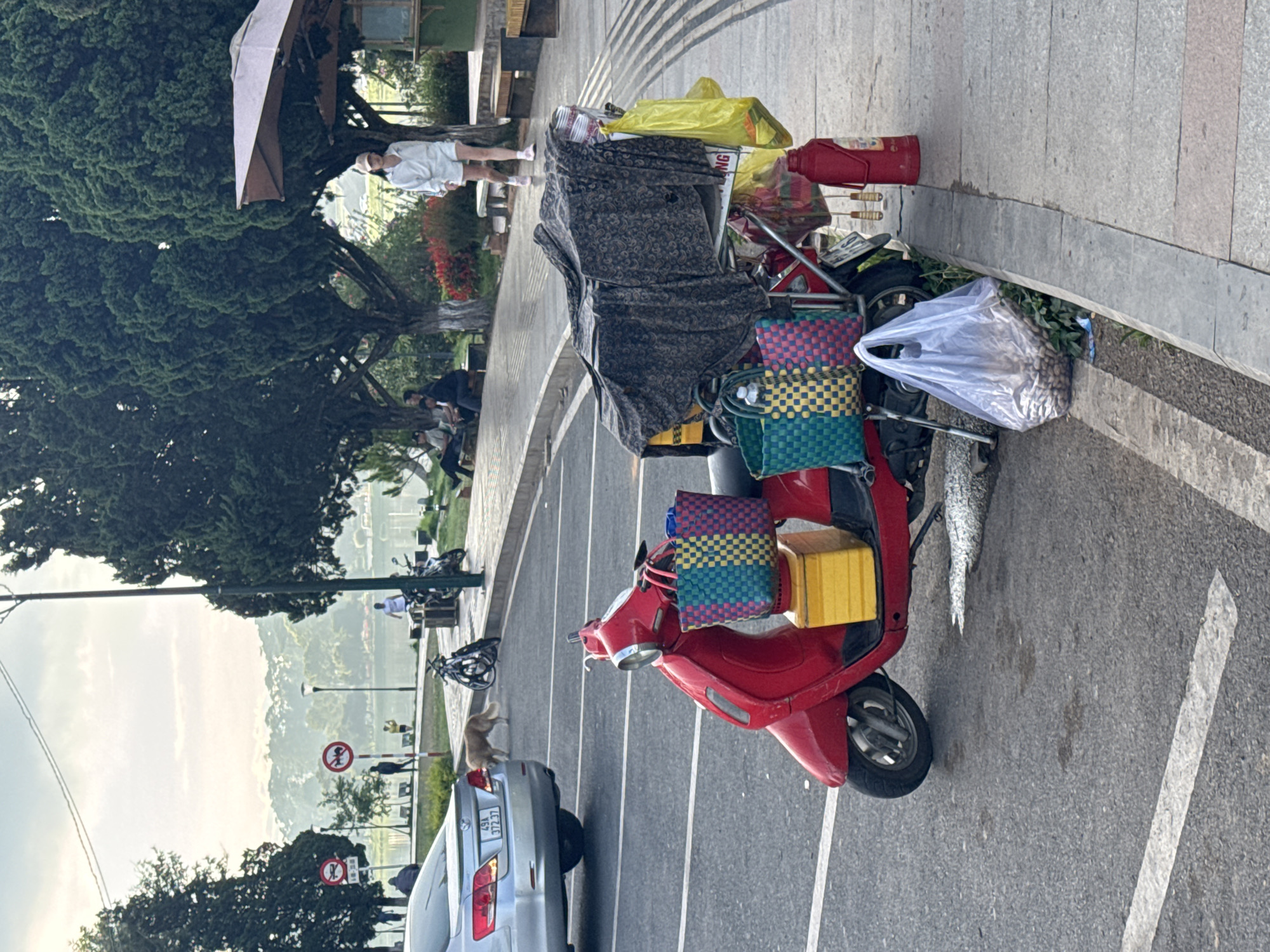 A street scene in Da Lat, Vietnam, features a red scooter heavily laden with goods, including woven bags, boxes, and covered items. The scooter is parked on the side of the road, next to a grey car. A dog is visible near the car. In the background, people are seen near a lakeside area with trees and buildings. A no motor vehicle sign is visible in the background as well. The street surface has painted white lines. The day appears to be overcast.