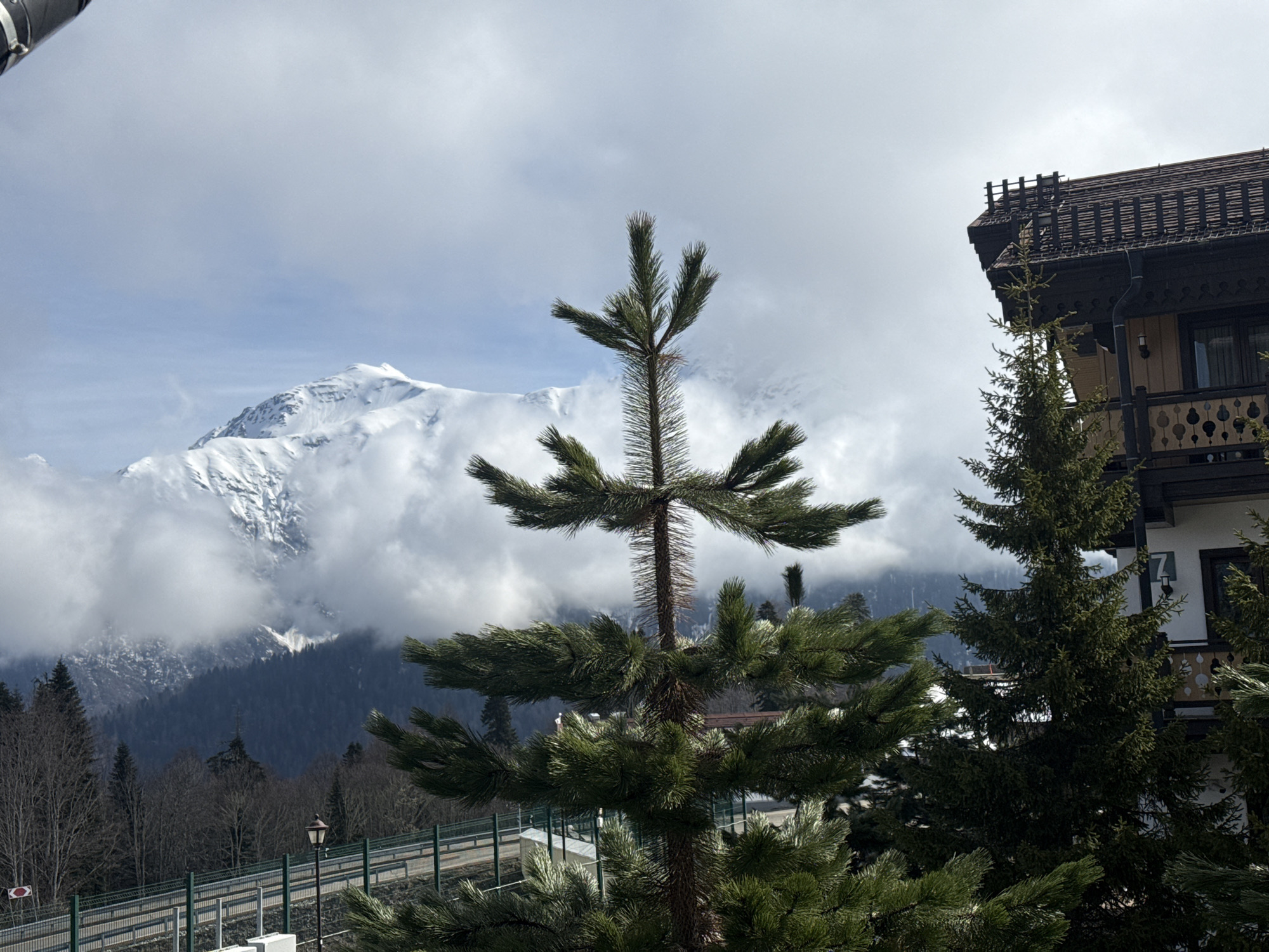 A scenic photograph captures a mountain landscape in Estosadok, Russia, featuring snow-capped peaks, evergreen trees, and alpine architecture under a partly cloudy sky.
In the foreground, a prominent, slender pine tree stands centrally, its dark green needles and tiered branches reaching upwards. To its right, part of a multi-story building with distinctive dark wood trim, a brown tiled roof with snow guards, and an ornate balcony is visible. A white number "7" is affixed to the building's light-colored facade above the balcony. A denser evergreen tree partially obscures the building on the right.
The mid-ground reveals a paved road or pathway, bordered by a green metal fence, sloping gently towards the left. A vintage-style street lamp with a dark fixture stands next to the path. Beyond the path, bare deciduous trees indicate a lower elevation, transitioning into a denser evergreen forest further up the slopes.
Dominating the background are towering, rugged mountains, heavily blanketed in pristine white snow. These peaks are partially enshrouded by soft, swirling white and grey clouds, creating a dramatic and atmospheric effect. Patches of clear blue sky are visible above the clouds.
The image depicts a peaceful, serene daytime scene. The weather appears cool but bright, typical of a mountain environment. No people or specific activities are present, allowing the natural grandeur and architectural details to be the main focus. The overall impression is one of a beautiful and tranquil mountain resort.
