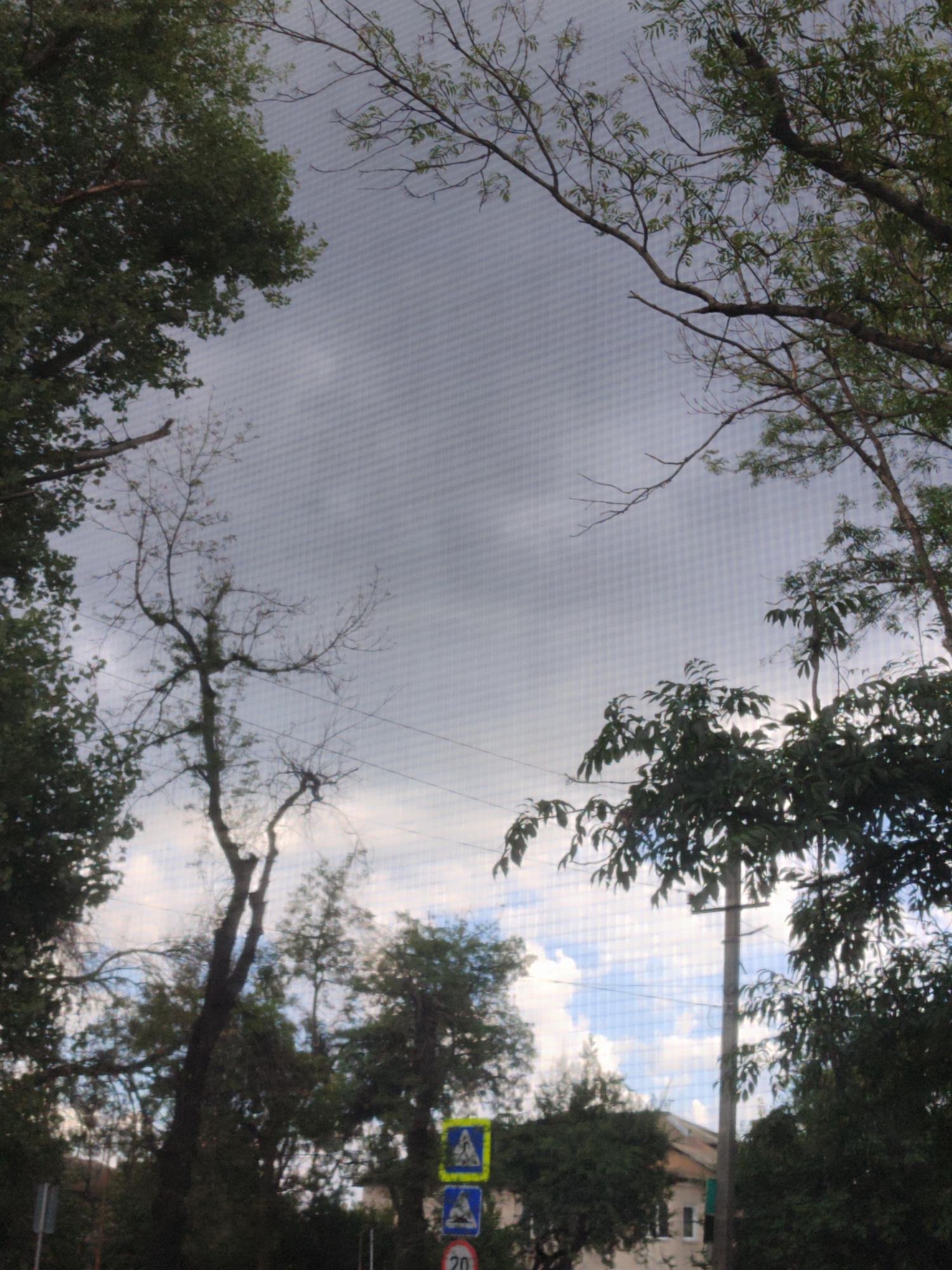 The image shows a view looking up through trees toward a cloudy sky. In the foreground, leafy branches of trees frame the scene. In the middle ground, a tall, bare tree stands with its branches reaching upwards. Further back, more trees with green foliage are visible, along with a building with a light-colored roof and windows. A utility pole is positioned to the right of center. Two pedestrian crossing signs are visible on the left side of the image, with a circular sign below them. The overall impression is of an urban or suburban setting on an overcast day.