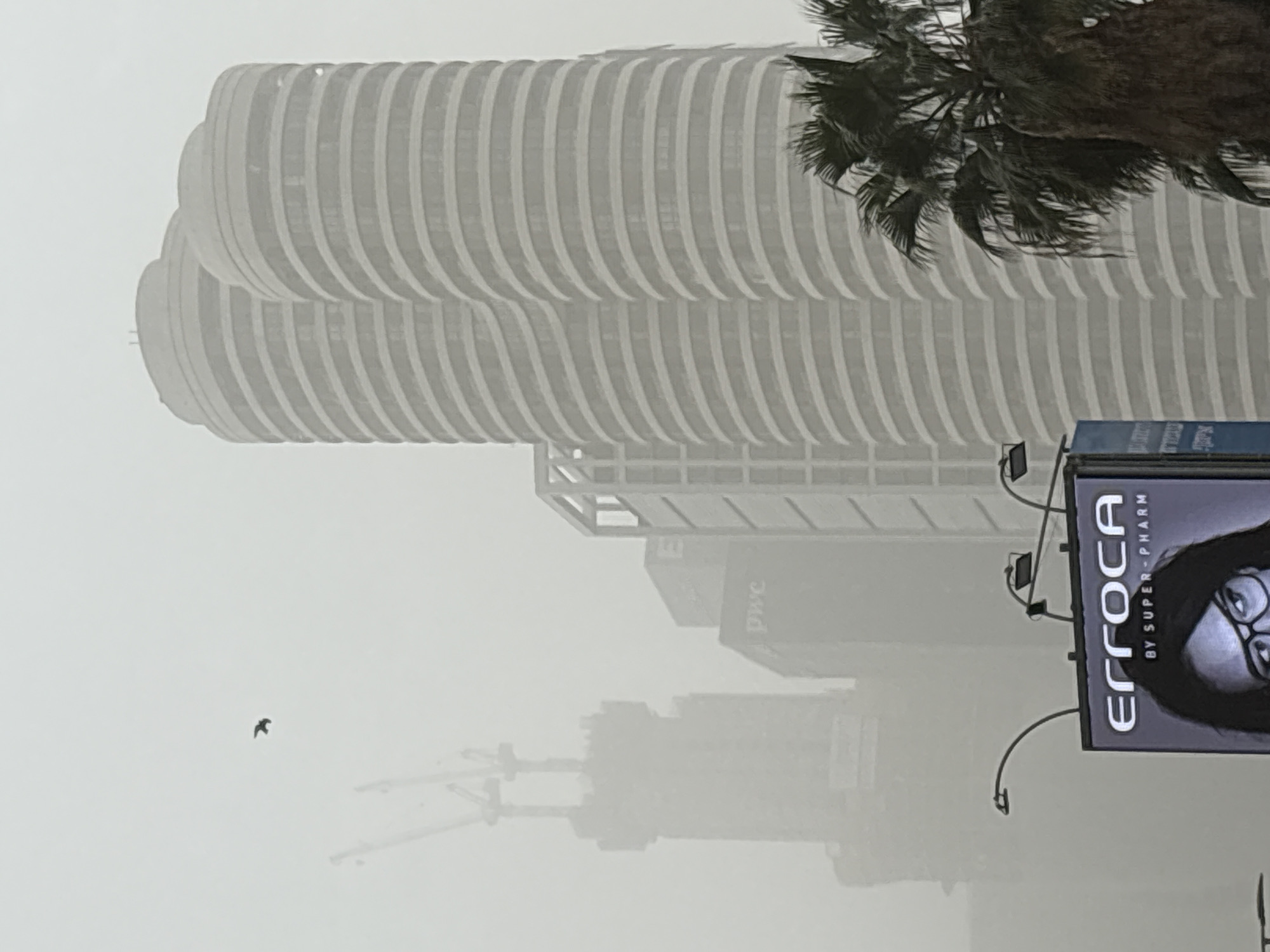 The image captures an urban landscape shrouded in dense fog or heavy haze, lending a muted, almost monochromatic palette to the scene. The central focus is a tall, modern building on the left with a distinctive, undulating, layered facade of light-colored, curved panels. It appears to be composed of two parallel, wave-like sections that form a unified structure.
In the upper right, a portion of a dark green palm tree with prominent fronds partially obscures the building. On the far right, a large street billboard is prominently displayed, featuring the face of a person with dark hair and glasses.
Further in the hazy background, faint outlines of other buildings are visible, including one with the "pwc" (PricewaterhouseCoopers) logo. Construction cranes can also be vaguely discerned through the thick atmospheric conditions, suggesting ongoing development. A small, dark bird is captured mid-flight in the upper left section of the frame, contrasting with the soft, diffused light.
The visible text on the billboard reads "ERROCA" (stylized as "ЕРГОСА") followed by "BY SUPER-PHARM", indicating a brand and retailer. The pervasive fog creates an atmosphere of serene mystery, making distant objects appear as soft silhouettes. The scene is set in an urban environment, likely in Ramat Gan, Israel, during a time of poor visibility, such as early morning fog or an overcast day.