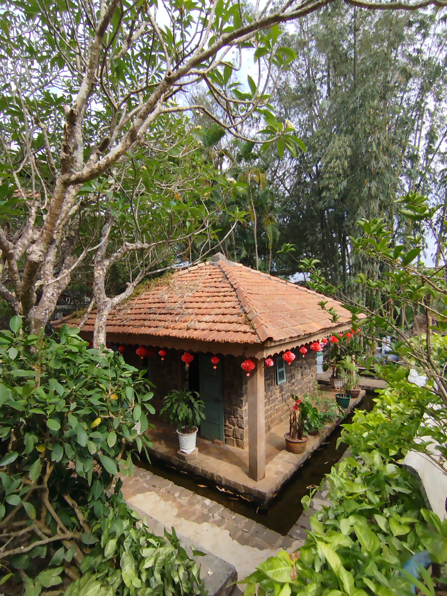 An exterior shot captures a single-story, brick structure in Phú An, Vietnam. The building is encircled by a shallow waterway; a concrete walkway spans this moat. The building features a tiled roof and dark-green doors. Red lanterns hang along the building's edge. Potted plants sit on the building's platform. Lush greenery, including bamboo, surrounds the structure. A large, bare-branched tree occupies the left of the frame.