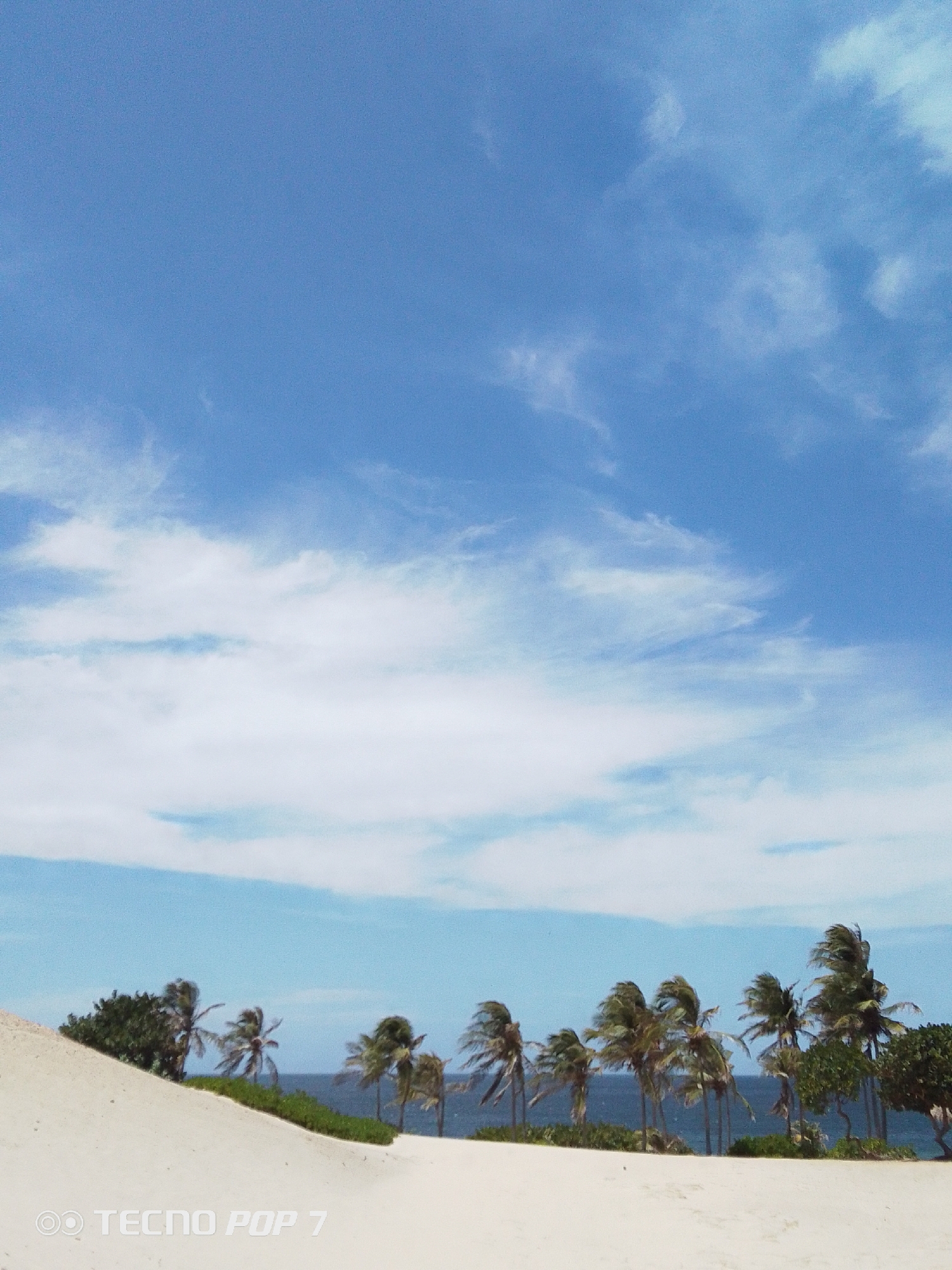 The image presents a bright coastal landscape in Pedro González, Venezuela, under a clear blue sky. In the immediate foreground, light-colored sand dunes rise, their smooth texture prominent. Behind these dunes, a line of numerous palm trees and other dense, green vegetation forms a natural border against the ocean. The palm fronds are visibly bent and blurred, indicating a significant breeze or wind. Beyond the trees and vegetation, the deep blue expanse of the ocean is visible, stretching towards the horizon. The upper two-thirds of the photograph are dominated by a vibrant blue sky, adorned with scattered white and light blue cirrus-like clouds that add depth and texture. The lighting suggests a sunny midday or early afternoon. No people or specific activities are depicted, emphasizing the natural, untouched beauty of the beach environment. A watermark displaying "OO TECNO POP 7" is present in the bottom left corner of the image.