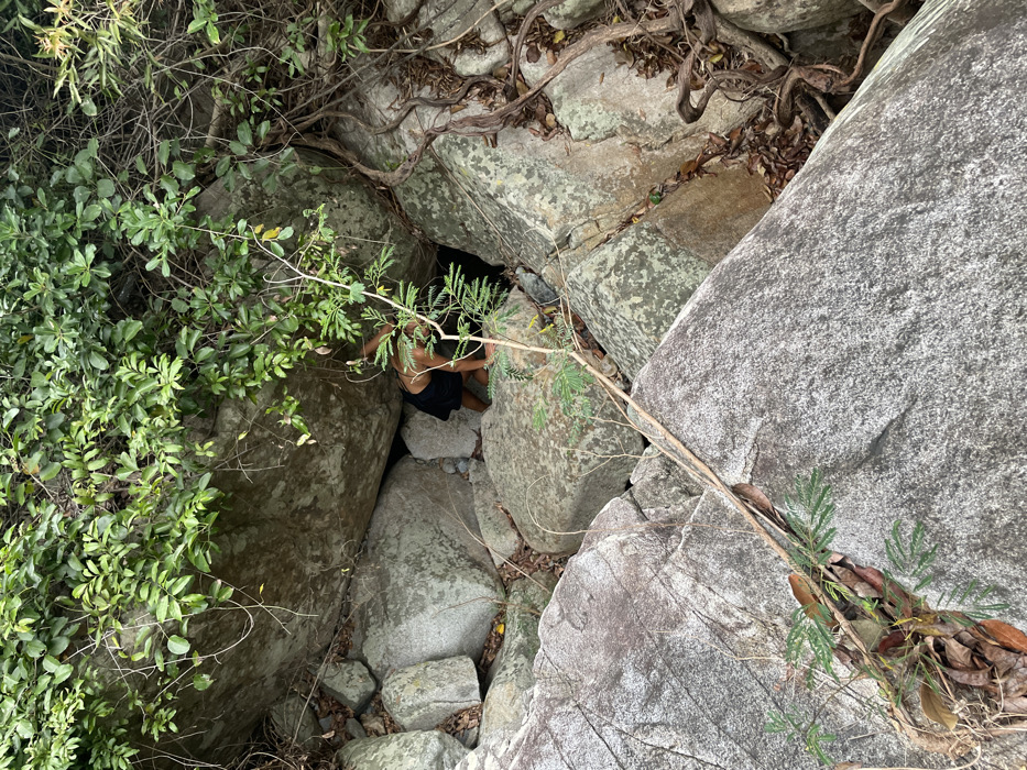 The image displays a natural, rocky environment located in Ninh Hòa, Vietnam. One individual is partially visible in the center-right, positioned in a low, crouched, or crawling stance within a crevice formed by large boulders. The person, appearing to be of Southeast Asian descent, is wearing dark shorts and has a bare upper torso, with their left arm raised and bent, possibly bracing against a rock or reaching forward. The scene is characterized by numerous large, irregular, grey-toned boulders and dense green foliage, including leafy bushes and smaller plants growing around and over the rocks. Dried leaves and exposed roots are visible on the ground and between rock formations. A slender, vine-like plant with small green leaves extends from the upper left, diagonally across the foreground. The overall setting is an outdoor, natural landscape, likely a rocky slope or stream bed, under ambient daylight conditions.