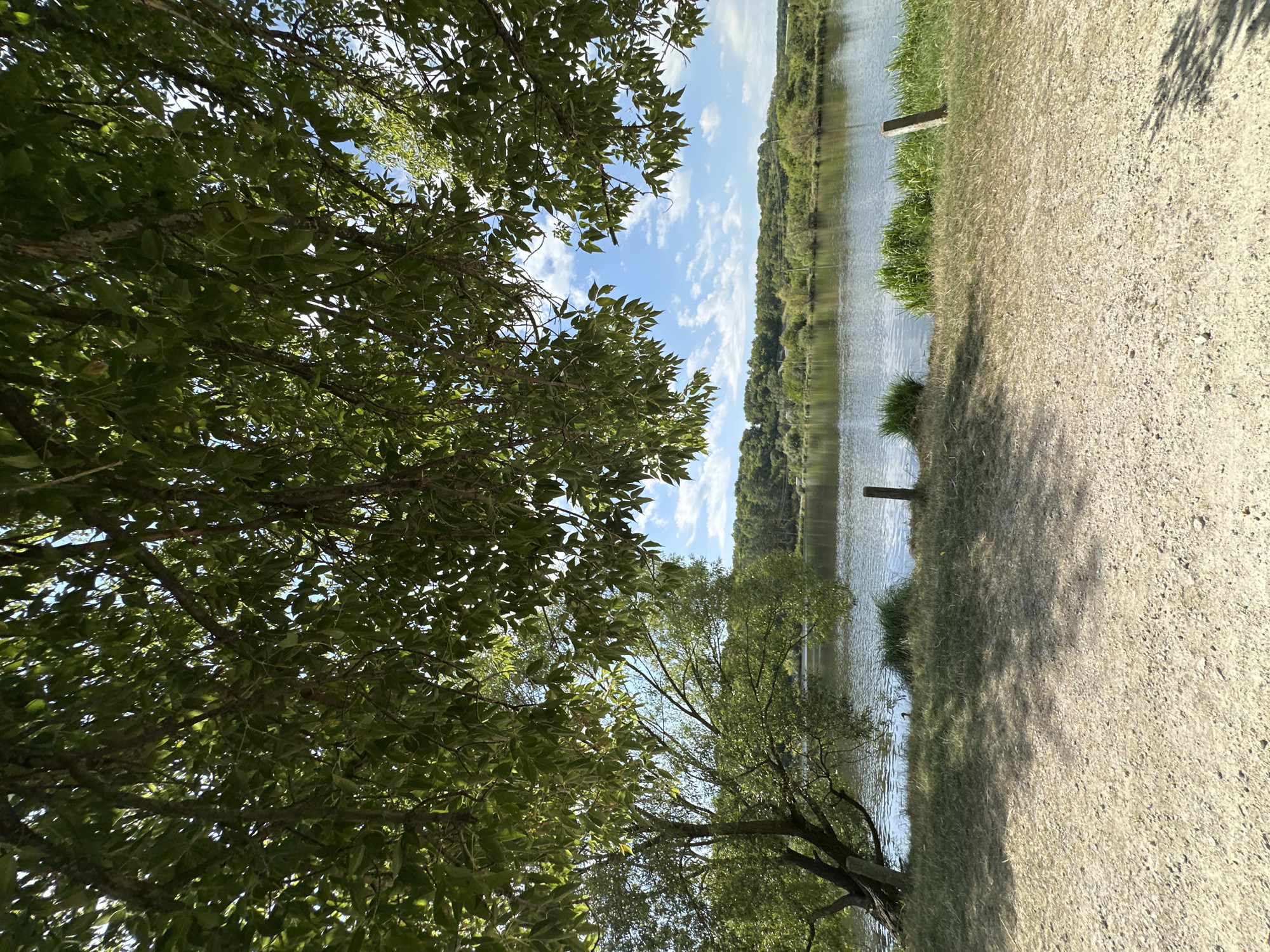 This image shows a tranquil view of a lake in the city of Makiv, Ukraine, on a sunny day. The foreground is dominated by a dirt path strewn with gravel, casting dappled shadows from the overhanging trees. A single, gnarled tree with dense green foliage stands to the left, its branches extending over the path and towards the water. The lake itself is calm, reflecting the blue sky dotted with white, wispy clouds. Lush green vegetation lines the far bank of the lake, with a rolling, tree-covered hillside forming the backdrop. Two simple wooden posts are visible along the water's edge, one in the middle ground and another further to the right. The overall impression is one of natural beauty and peaceful serenity.