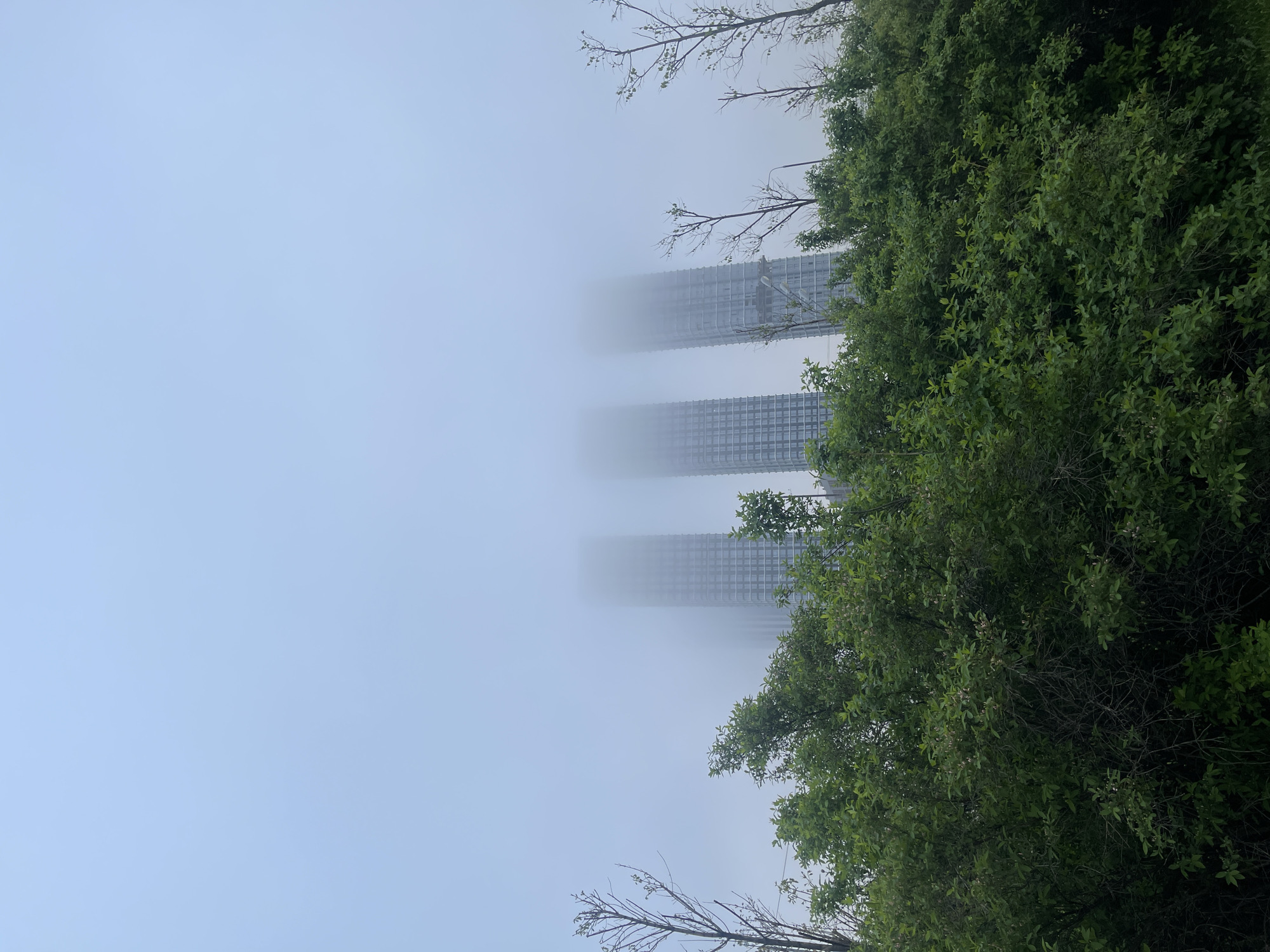 The image shows tall buildings shrouded in fog, partially obscured by trees. The sky is overcast and gray. The buildings are modern skyscrapers with grid-like facade patterns. The foliage is dense and green. The image is rotated, with the sky towards the bottom and the ground towards the top. This perspective gives a slightly disorienting feel to the view of the buildings. The location is likely Moscow, Russia, based on architectural style and environmental conditions.
