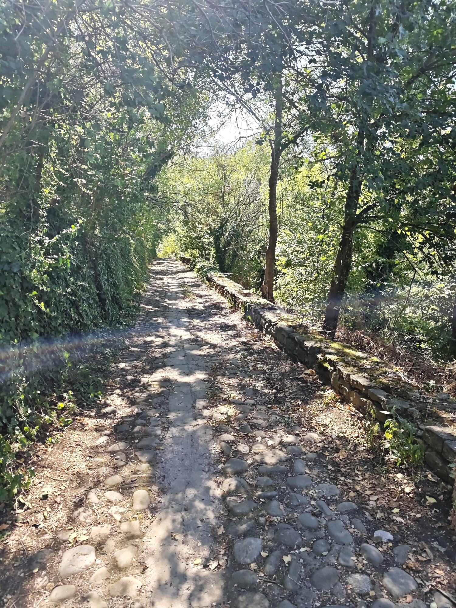 The image depicts a cobblestone path winding through a tree-lined area. The path is partially shaded by the dense foliage of trees on both sides. A low stone wall runs along the right side of the path, separating it from the surrounding vegetation. The ground is covered with fallen leaves and scattered stones. The scene appears to be a tranquil outdoor setting, likely a park or a nature trail. The location is a path leading to the monument "The Free Bulgaria" in Lovech, Bulgaria, a historical site known for its natural beauty and significance.