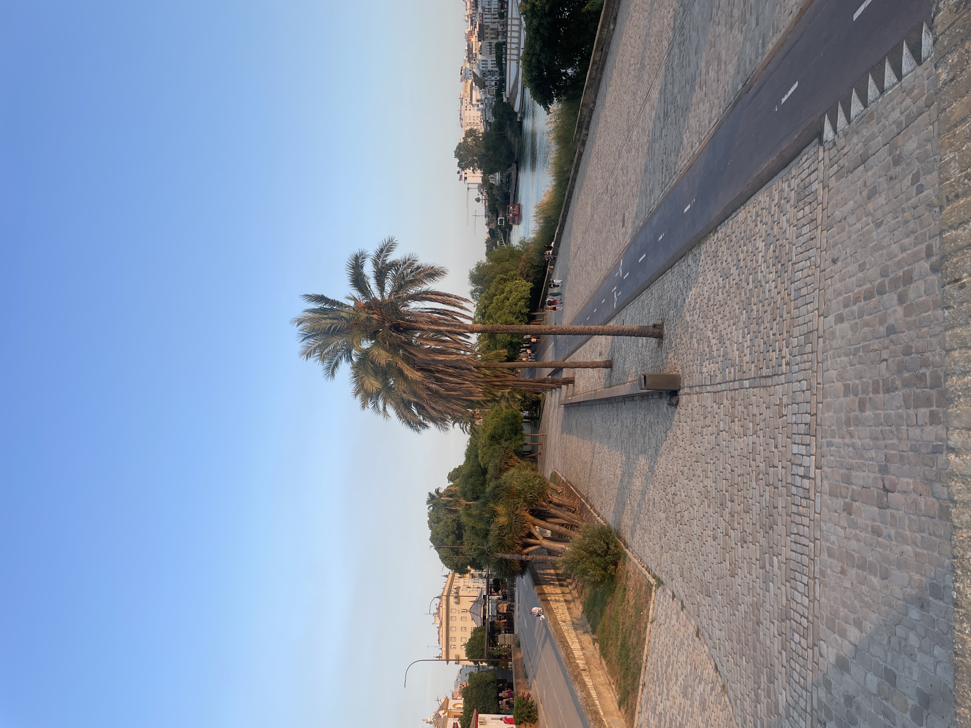 The image depicts a wide, paved promenade along a river in Seville, Spain, likely the Guadalquivir River, given the distinctive architecture and palm trees. The promenade is made of cobblestones and features a designated bicycle lane running parallel to the river. Several palm trees are planted in a line along the edge of the promenade, casting long shadows in the warm, late afternoon sun.
In the foreground, the cobblestone pavement occupies a significant portion of the frame, showing its texture and the way it is laid out. A portion of a stone wall is visible on the left, with a grassy embankment behind it.
Further into the scene, the river is visible on the right, with a red tour boat navigating its waters. Across the river, the cityscape of Seville unfolds, characterized by white buildings with traditional Spanish architecture, and some taller structures and cranes indicating ongoing construction or development. Trees and vegetation line the riverbanks on both sides, contributing to the scenic view.
Along the promenade, several people are walking and sitting, enjoying the pleasant atmosphere. A few individuals are strolling on the pedestrian area, while others are seated on benches, observing the river and the city. On the left side of the promenade, bordering a street, there are buildings with shops and cafes, suggesting a vibrant urban area. A few cars are parked or driving on the street. The sky is a clear, bright blue, typical of Seville's climate. The overall impression is one of a lively, picturesque urban waterfront setting bathed in the golden light of late day.