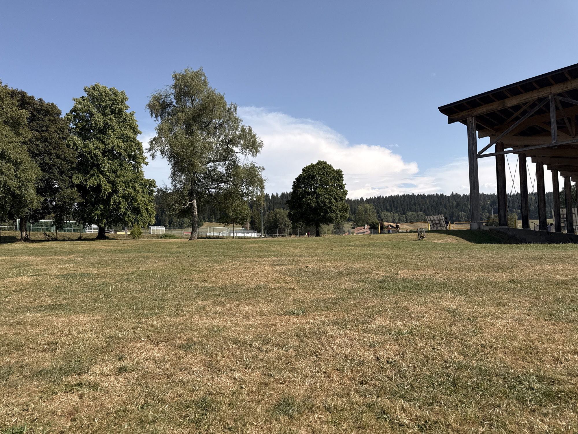 The image depicts an outdoor scene on a sunny day, likely in Le Locle, Switzerland, given the context. A large, open field of dry, yellowish-green grass dominates the foreground. In the middle ground, several trees are visible, varying in size and foliage density. To the far left, a fence runs along the edge of the field, behind which are some structures that appear to be related to sports facilities, including what looks like a covered seating area or small building. Further into the background, a dense forest of dark green coniferous trees lines the horizon. On the right side of the image, a large, open-air wooden structure with a dark roof and visible beams and supports occupies a significant portion of the frame. The sky is a clear, bright blue with a few scattered white clouds. A small group of people can be seen in the distance, near the tree line and the wooden structure, engaged in activities that are not clearly discernible.