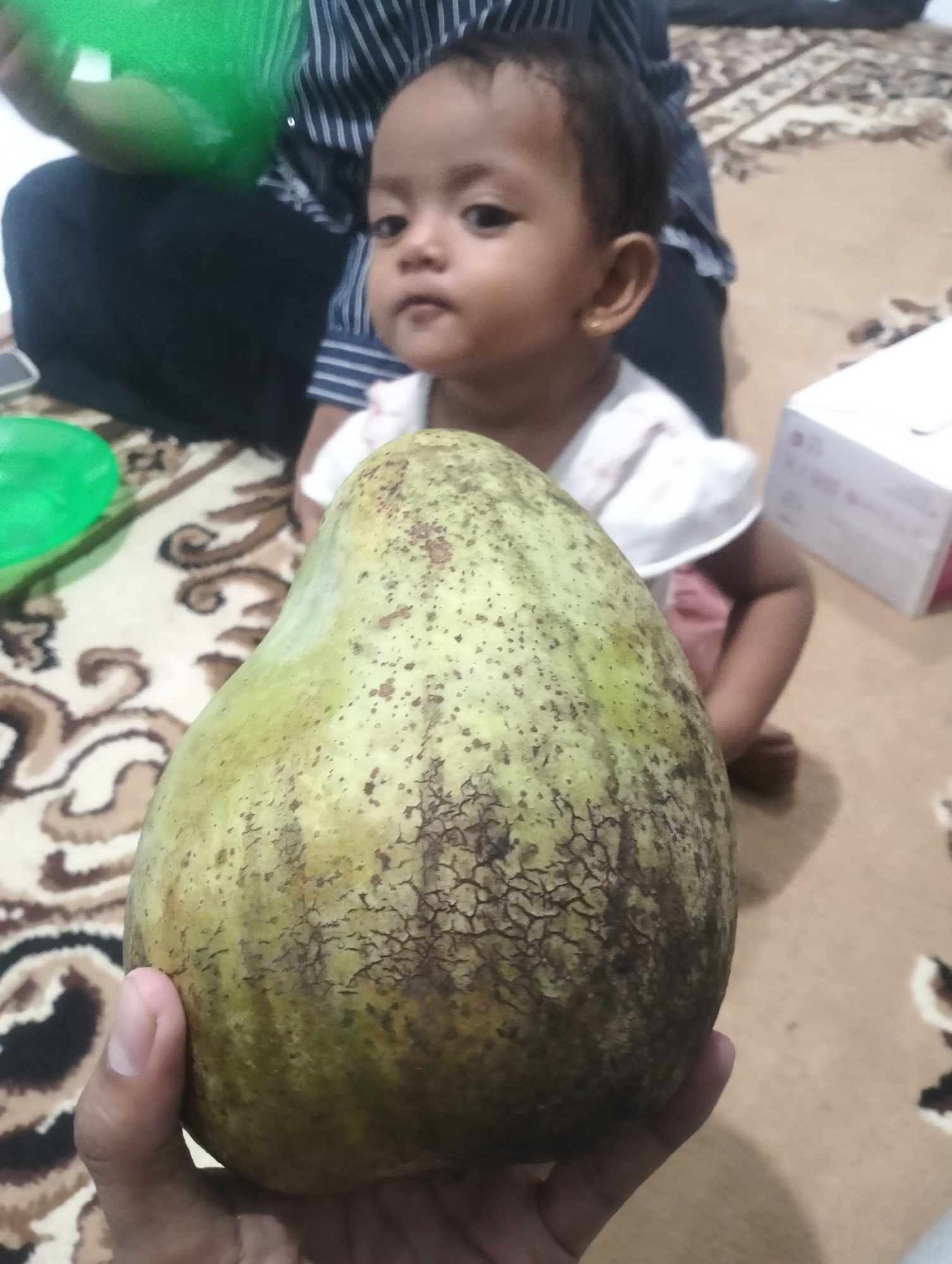 An overhead shot shows a person's hand holding a large, textured, green-skinned fruit, possibly a variety of mango or jackfruit. In the blurred background, a young child with dark hair and wearing a white and pink outfit is seated on a carpeted floor with a brown, beige, and black patterned design. A green bowl is visible to the left, and a white box with some red markings is to the right. The setting appears to be indoors, likely a home in Lhokseumawe, Indonesia, given the context provided.