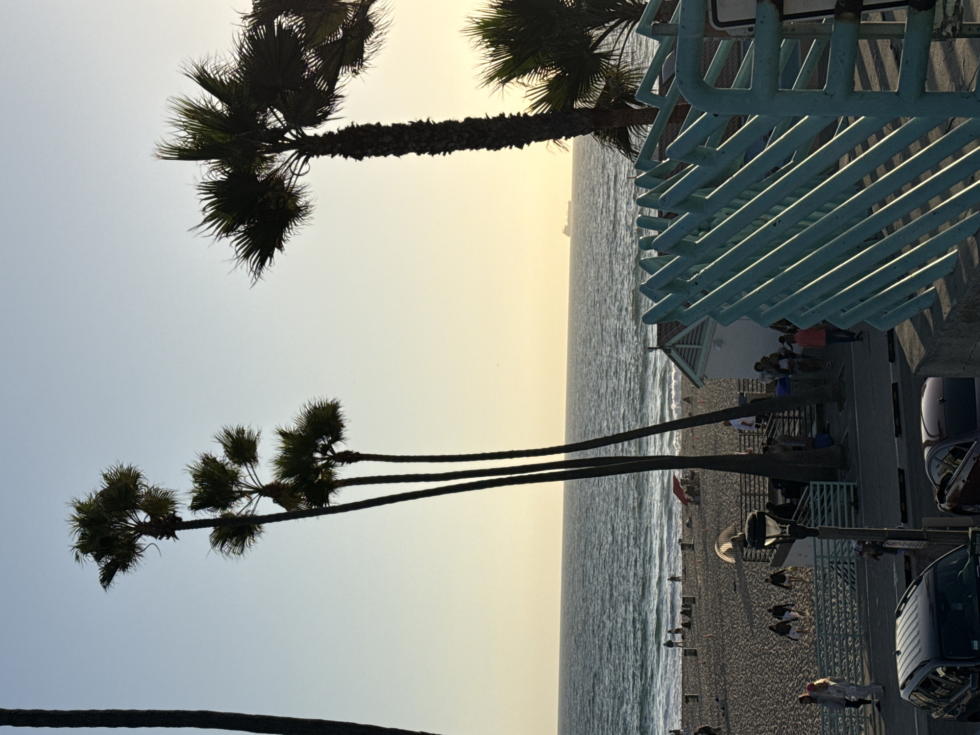 This is an outdoor, eye-level, medium shot photograph of a beach scene in Manhattan Beach, California, USA. The image is captured during daylight, likely late afternoon or early evening due to the warm, soft lighting and long shadows cast by the palm trees.
In the foreground, a turquoise metal railing with a zigzag pattern is prominent, casting distinct shadows on the concrete walkway. To the left of the railing, a black SUV is parked on the street. Further back, a reddish-brown car is also parked. A street lamp with a dark pole and fixture stands near the railing.
Beyond the walkway, a sandy beach stretches out towards the ocean. Several palm trees are silhouetted against the pale sky, with their fronds appearing lush and green. Some of these palm trees are tall and slender, while others are shorter and more full.
On the beach, a scattering of people are visible. Some are walking along the shoreline, while others are seated or standing in small groups. Beach umbrellas, possibly red, are dotted across the sand. A small, light-colored building with a triangular roof sits on the edge of the beach, near some of the palm trees.
The ocean occupies the middle ground, with gentle waves rolling towards the shore. In the far distance, a large cargo ship is visible on the horizon. The sky above is a clear, light blue, gradually transitioning to a warmer yellow hue near the horizon. The overall atmosphere of the image is serene and evokes a sense of a pleasant day at the beach.