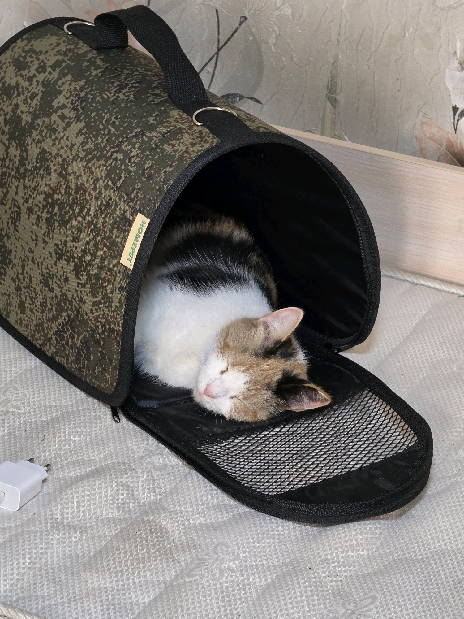 A calico cat is sleeping peacefully inside a camouflage-patterned pet carrier. The carrier is open, revealing the cat nestled within. The carrier has a black mesh front. A white electrical plug is visible to the left of the carrier on a textured white surface. The background consists of a wall with wallpaper and a wooden surface.