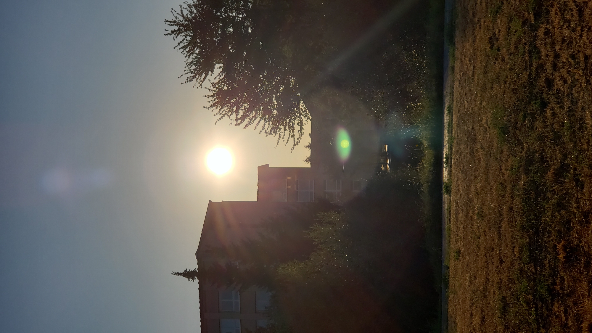 The image shows a sunlit scene in Prešov, Slovakia, with a building and trees in the background, and a field in the foreground. The sun is prominently displayed in the sky, casting a bright light and creating lens flare. The building appears to be a multi-story structure, possibly an apartment complex or an institutional building, with windows visible. Several trees, including what looks like a coniferous tree, are situated around the building and in the mid-ground. The foreground consists of a dry, grassy field. The overall impression is of an outdoor scene during a bright day, likely late afternoon or early morning due to the angle of the sun and the quality of light. No people are visible in the image.