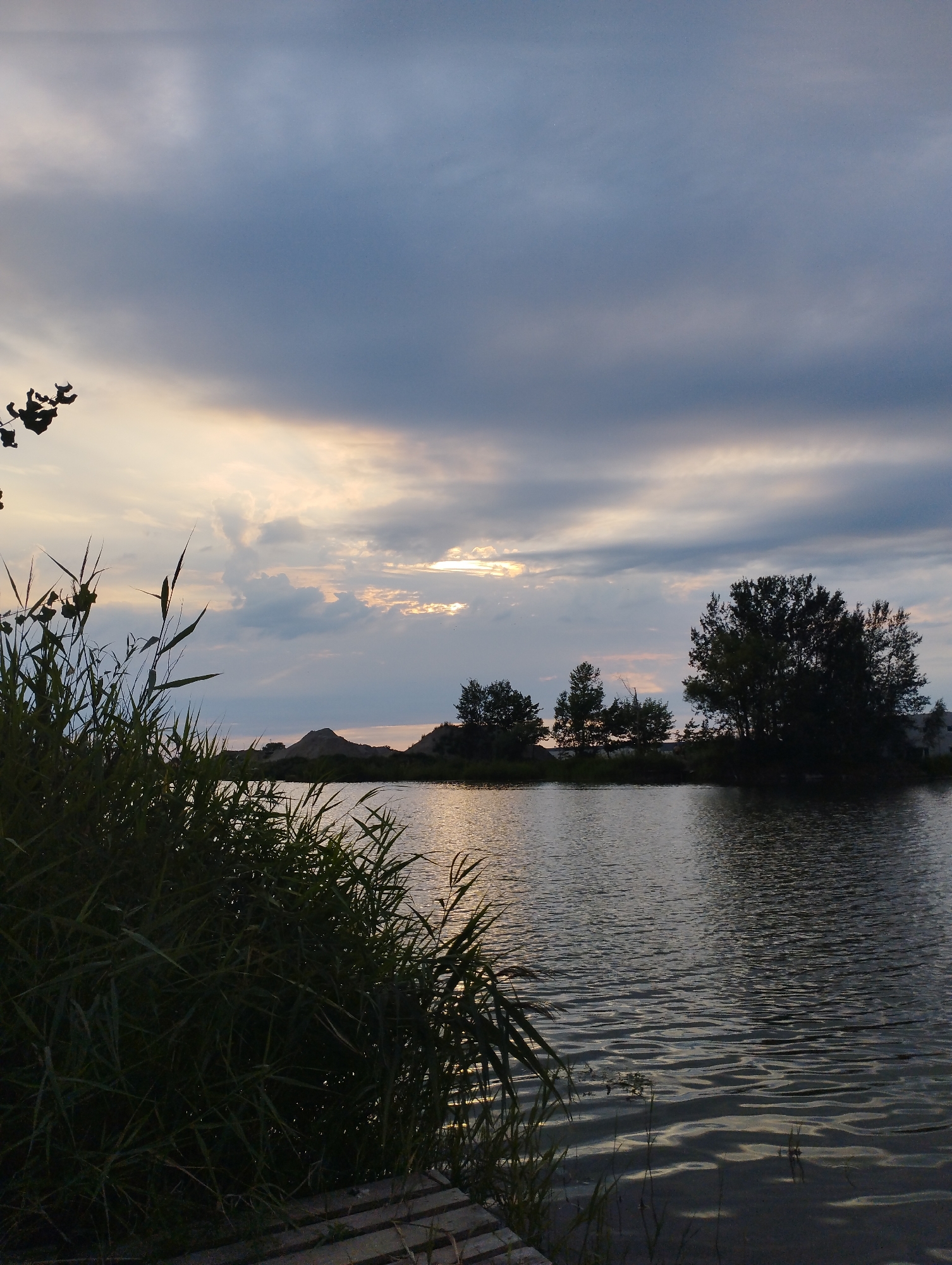 The image depicts a natural landscape scene, likely taken at dusk, featuring a body of water in the foreground and a sky filled with clouds. In the left foreground, tall reeds or grasses are silhouetted against the water. The water's surface shows ripples, reflecting the muted light from the sky. In the middle ground, a line of trees and bushes is visible along the far bank of the water, with some gentle hills or mounds behind them. The sky above is dramatic, with heavy clouds interspersed with patches of brighter light, suggesting the sun is low on the horizon and possibly breaking through the clouds. The overall atmosphere is serene and tranquil. There are no people or animals visible in the frame. This image does not contain information or clues that would indicate the specific location within the city of Michałowice-Wieś, Poland.