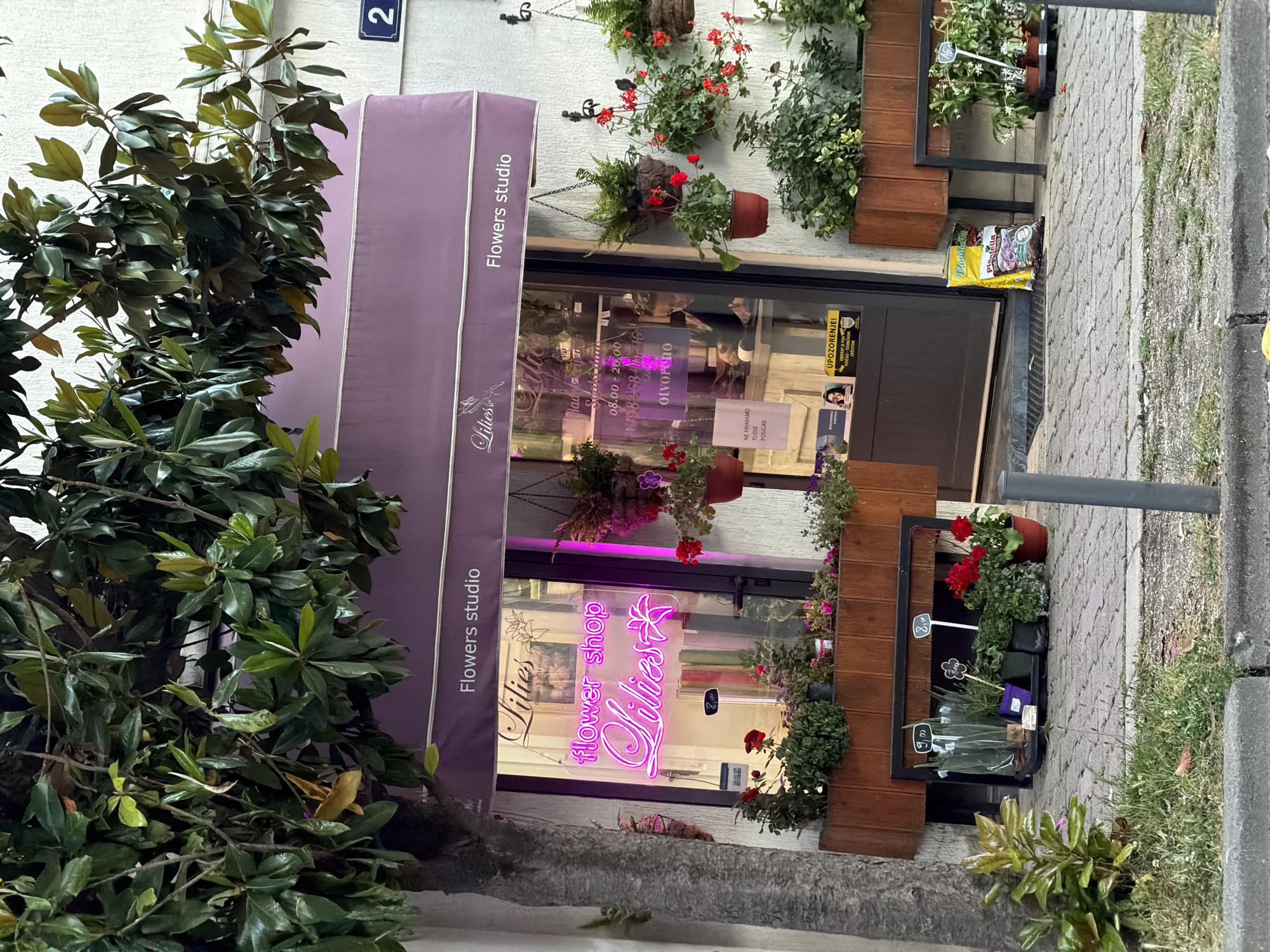 The image depicts the exterior of "Lilies Flower Shop" in Budva, Montenegro. A purple awning with "Flowers studio" and "Lilies" in white script covers the entrance. A neon sign reading "flower shop Lilies" is visible in the window. Hanging plants with red flowers adorn the white wall above the shop. Brown wooden planters display various flowers and plants on either side of the door. Bags of "Plantella" potting mix are on the ground near the entrance. A tree with dense green foliage partially obscures the left side of the shop. A street sign with the number "2" is mounted on the wall above the awning. The sidewalk is paved with patterned stones.