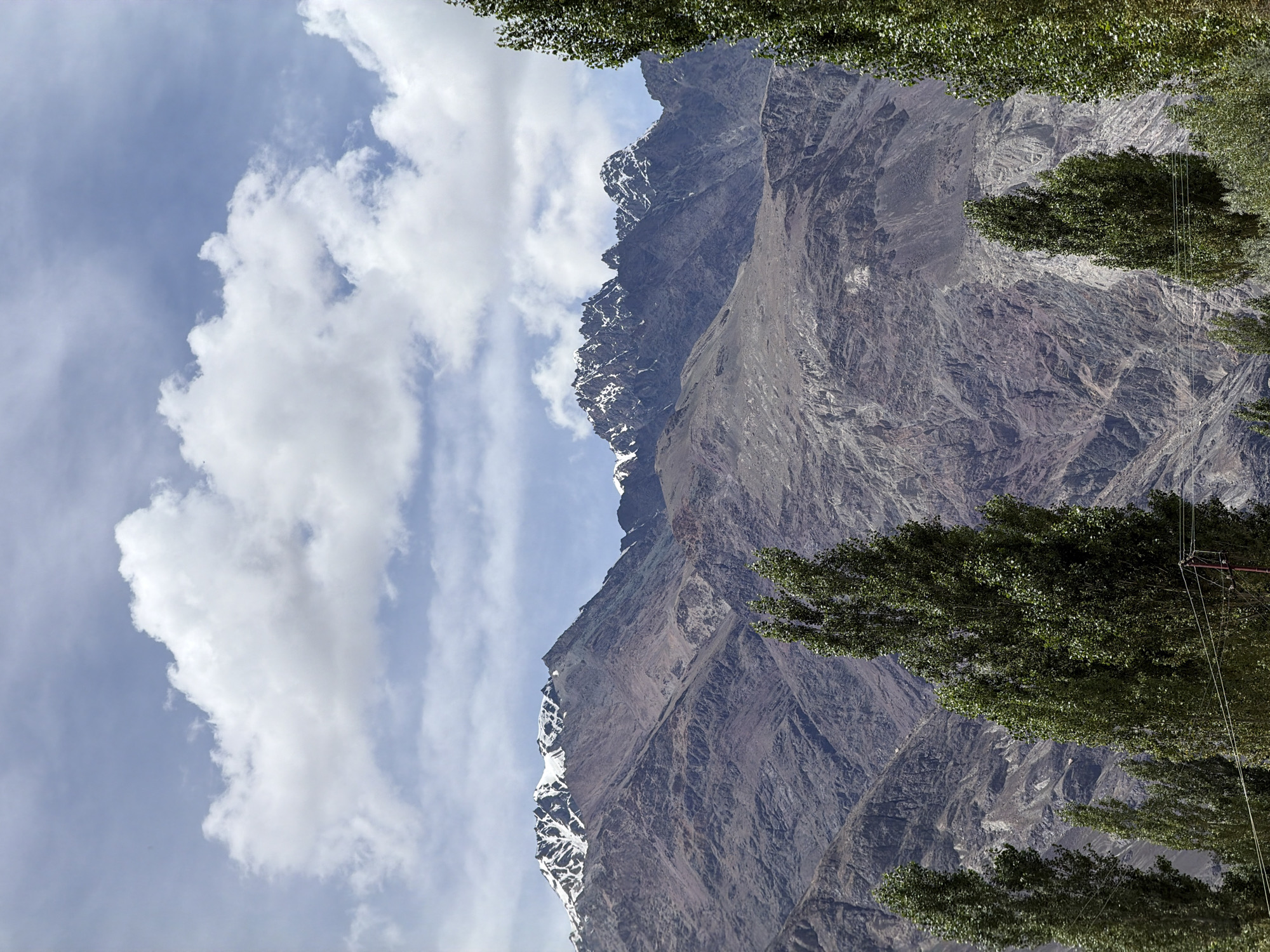 This photograph captures a majestic mountainous landscape with a partially cloudy sky. The foreground is dominated by several tall, slender green trees, some with power lines visible at their base. Behind the trees, the rugged terrain of a mountain range unfolds. The mountains display varying shades of brown and gray, with visible rock formations and textures. The peaks of the mountains are capped with snow, glistening under the daylight. The sky is a light blue, interspersed with fluffy white clouds that add depth and contrast to the scene. The image appears to be taken in Panamik, India, a location known for its hot springs and proximity to the Himalayas.